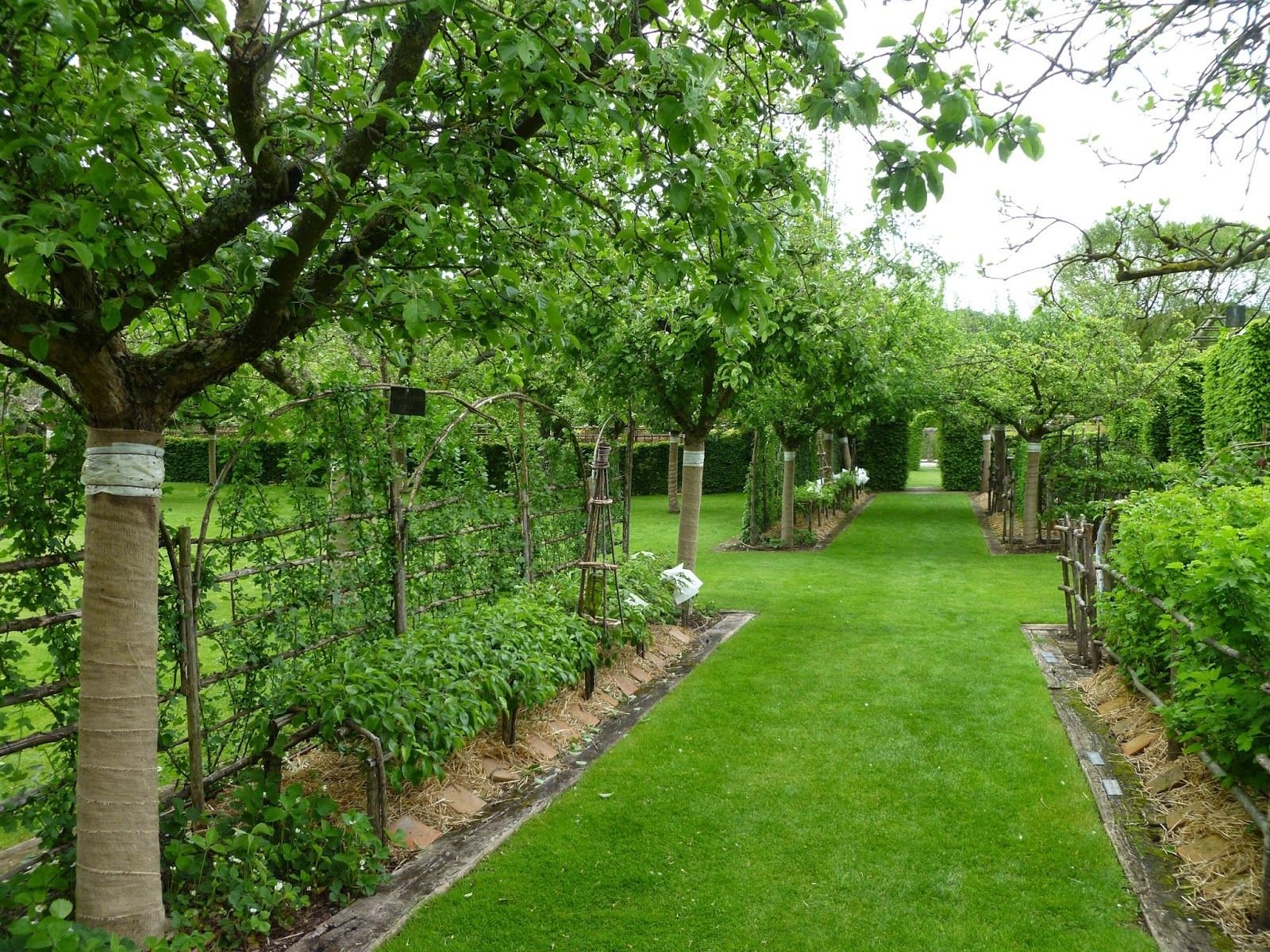 Фото сада на частном участке плодовых деревьев и цветов