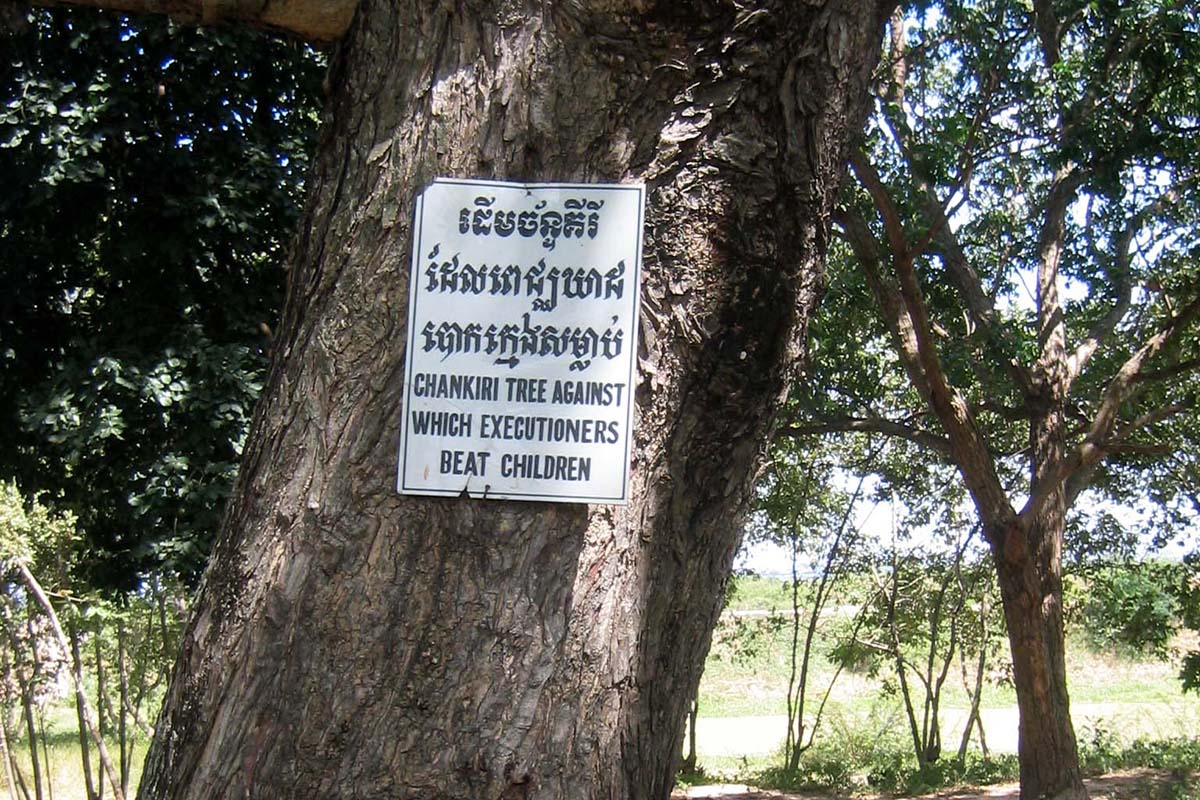 Дерево скорби Камбоджа