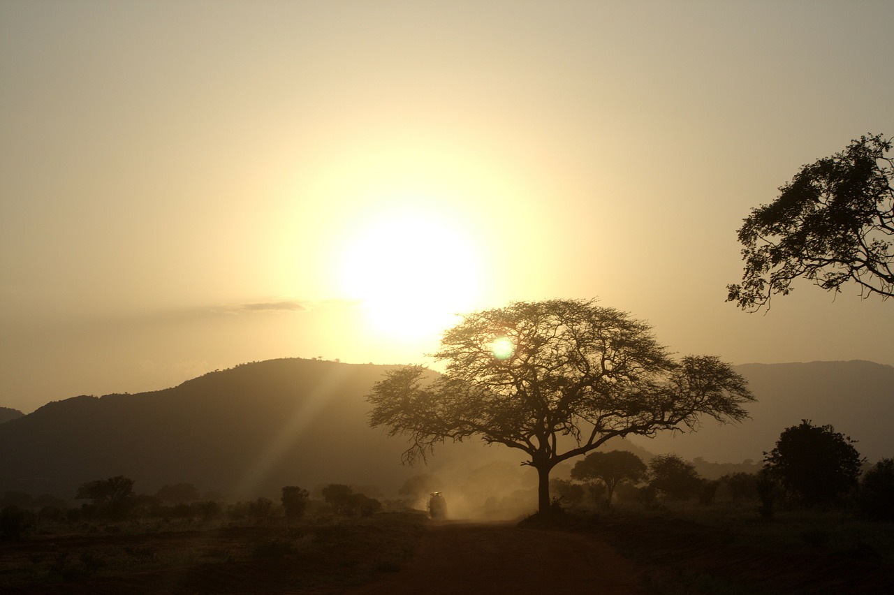 Утро в Африке