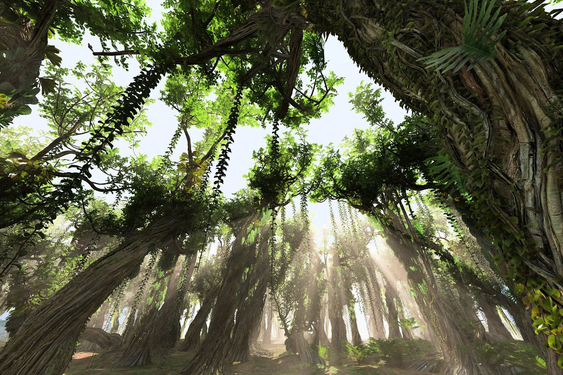 Джангл фото. Лианвидный папоротник. Джунгли 3d Max. Джунгли деревья референс. Тропические леса Индии лианы.