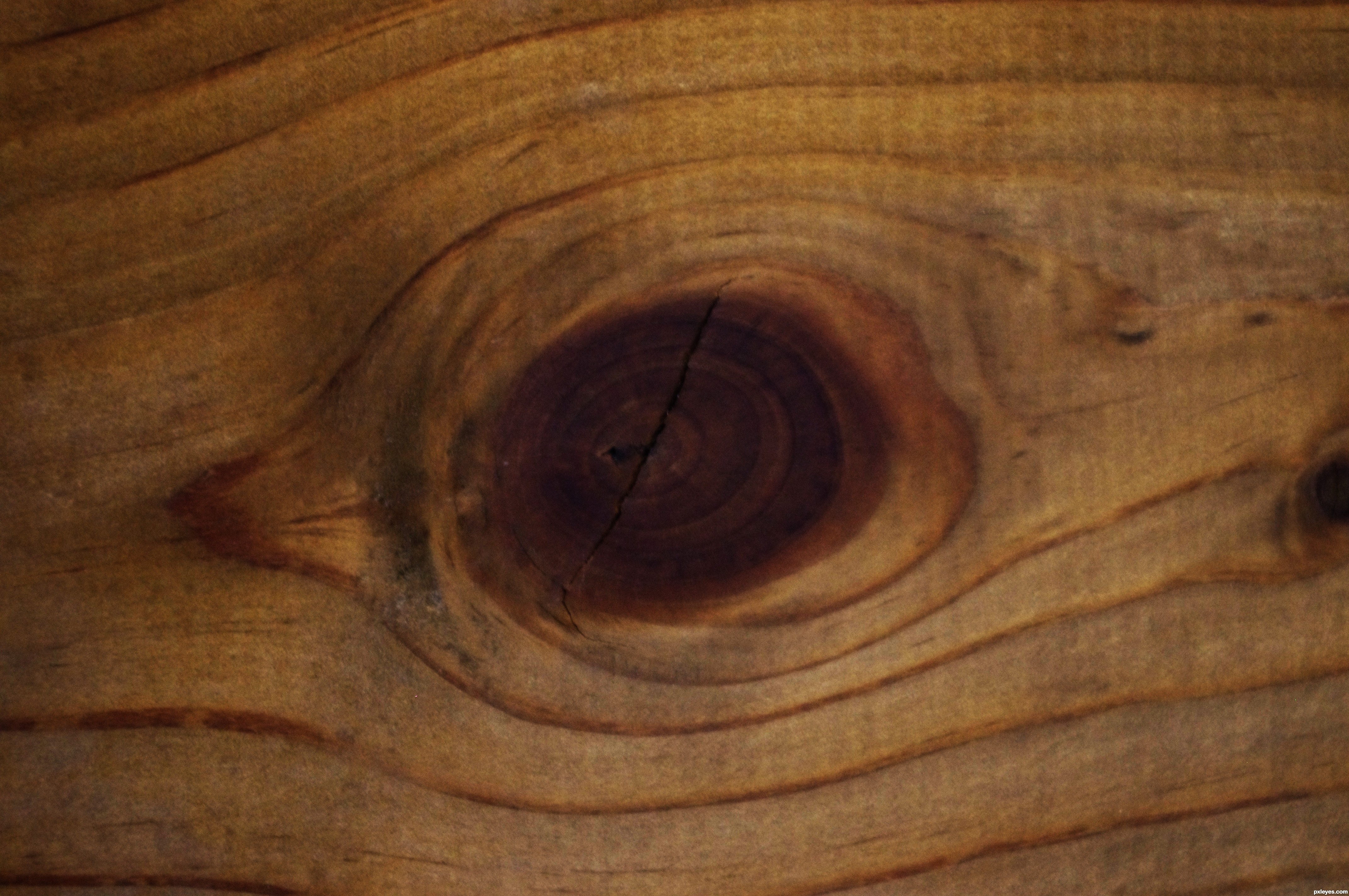 Пороки древесины сучковатость