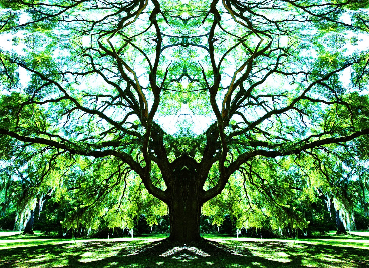 Фото дерева жизни