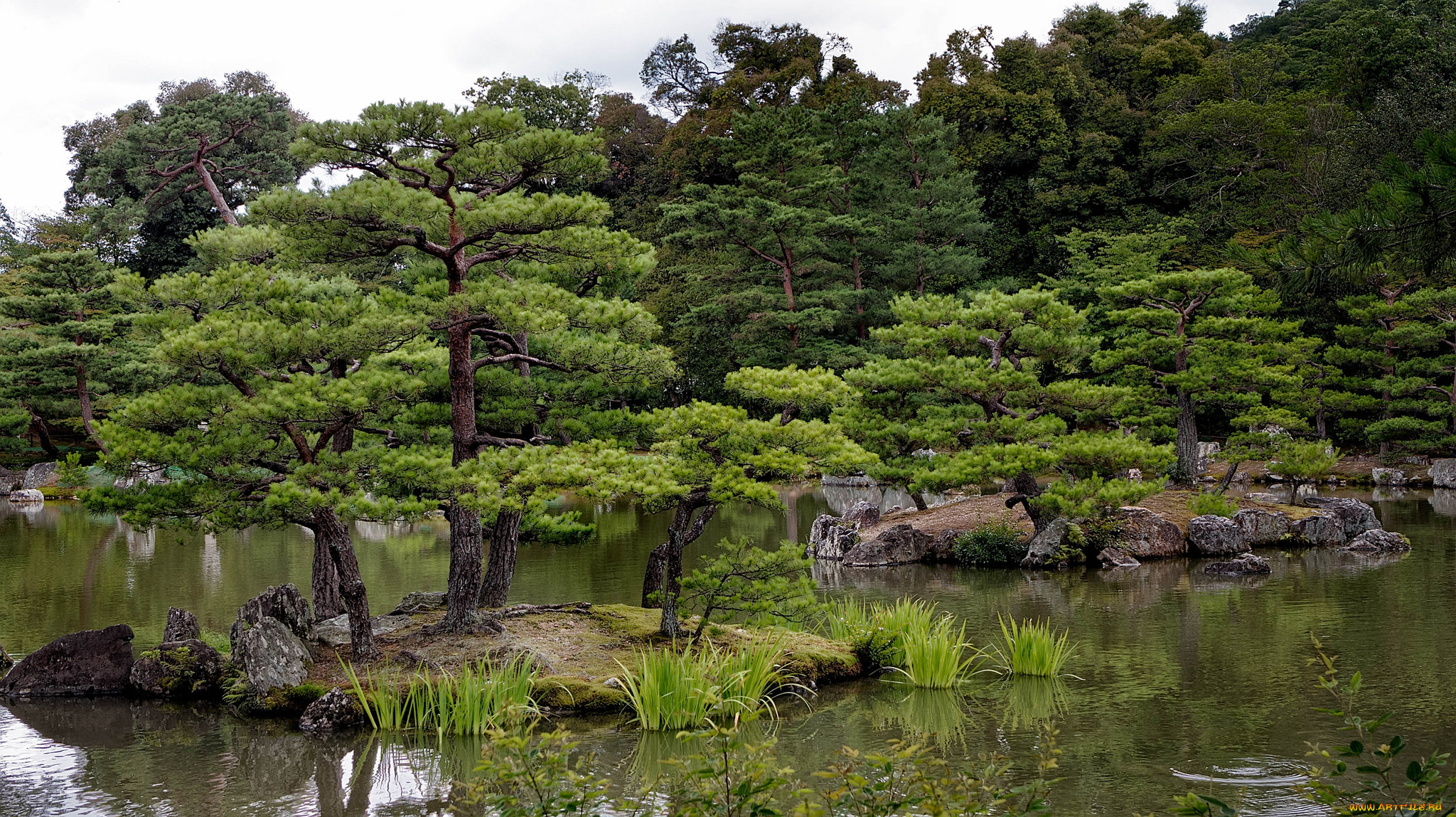 Природные зоны японии фото