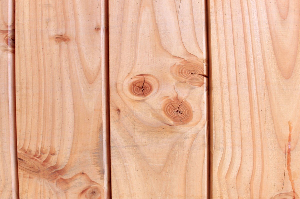 Текстура хвойных пород древесины