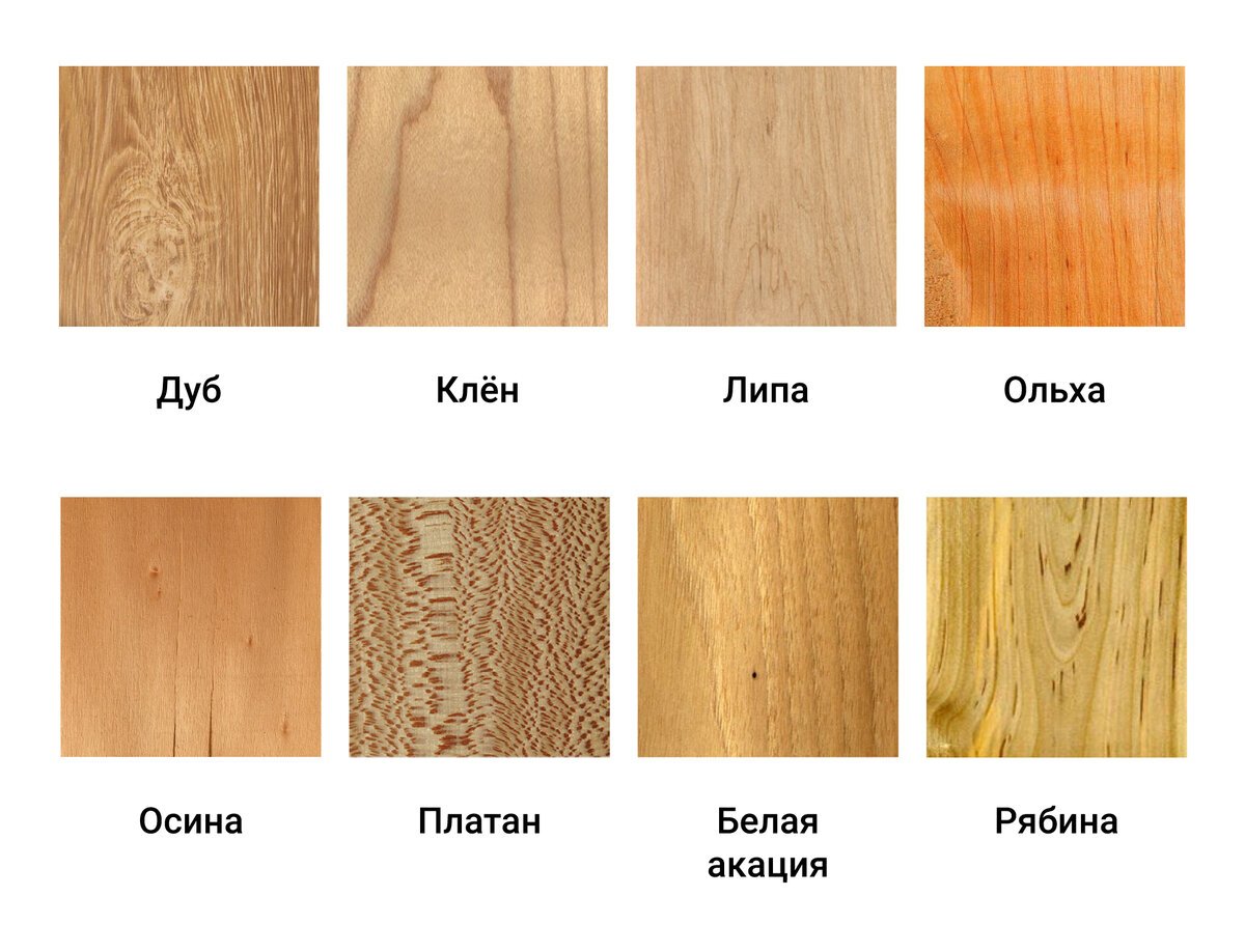 разновидности шпона из пород дерева