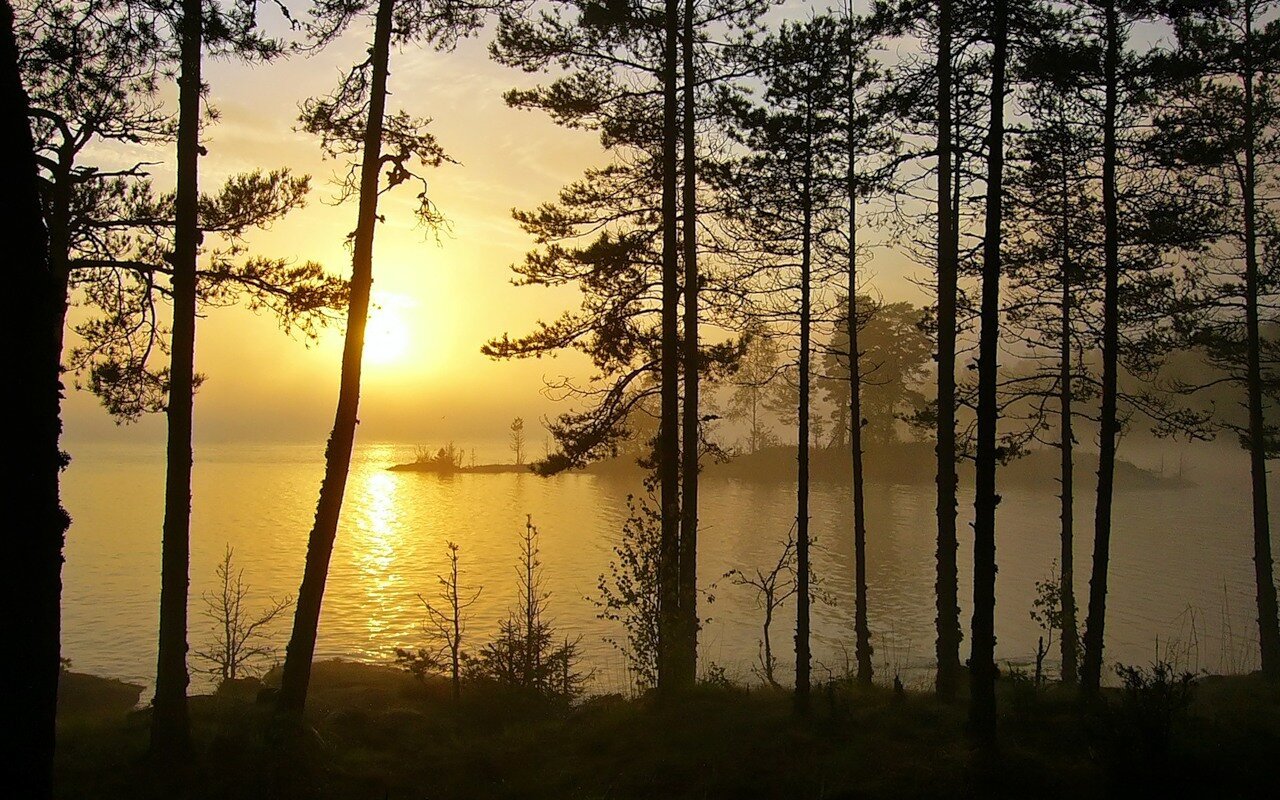 Закат на лесном озере