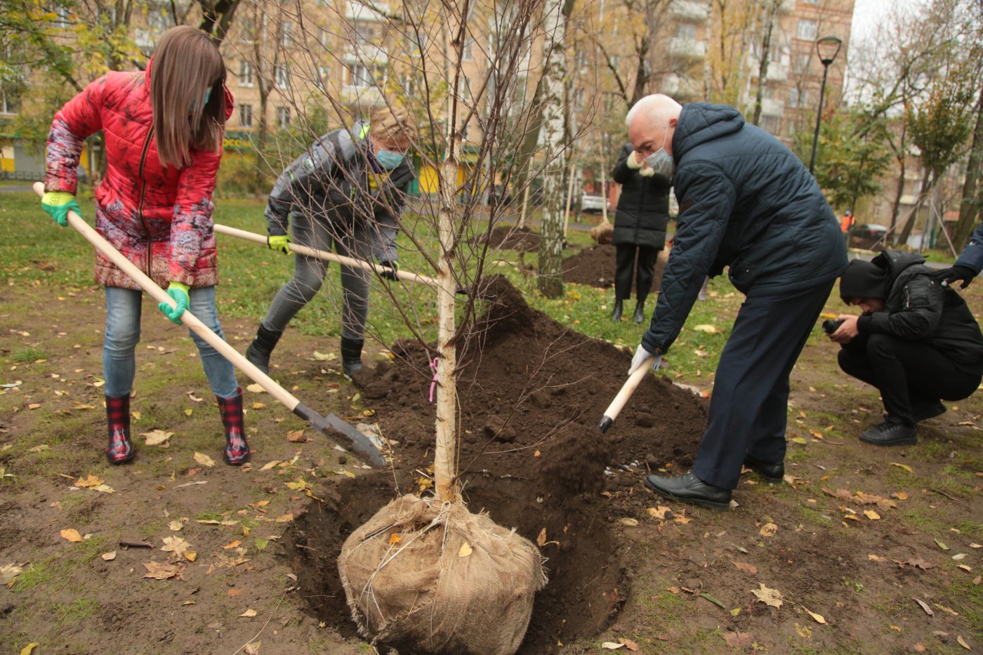 В ряд высадили 12 деревьев. Высаженные деревья. Высадка деревьев. Посадить дерево. Высадка деревьев в Москве.