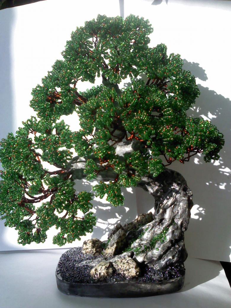 Бисерное дерево бонсай