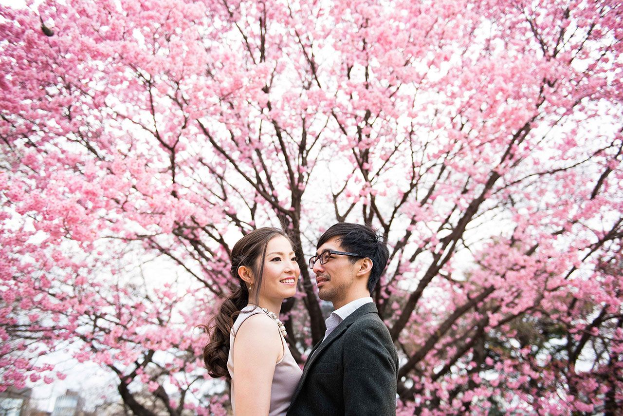 Свадьба в Японии Сакура