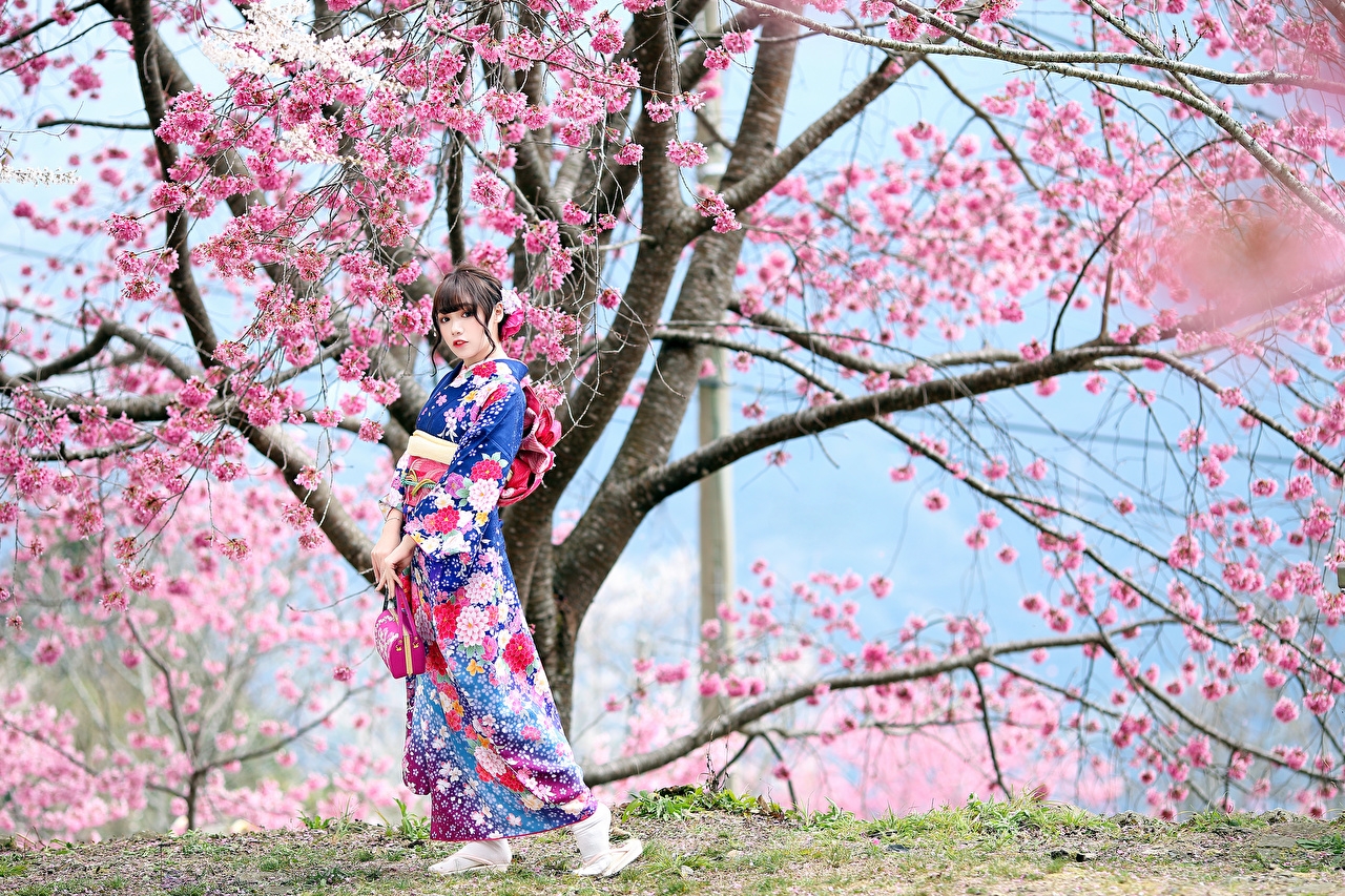 Sakura Yosozumi кимоно