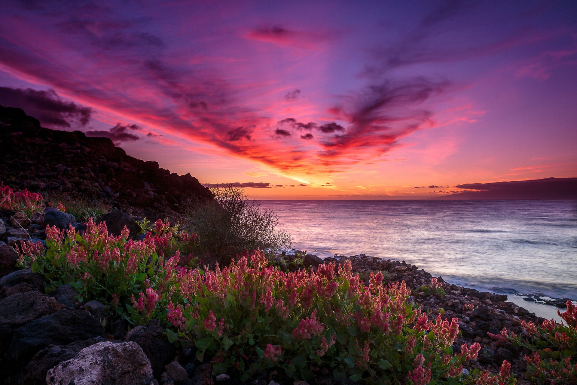 Яркие цветы на море. Природа закат. Красивый закат. Закат на море. Розовый закат на море.