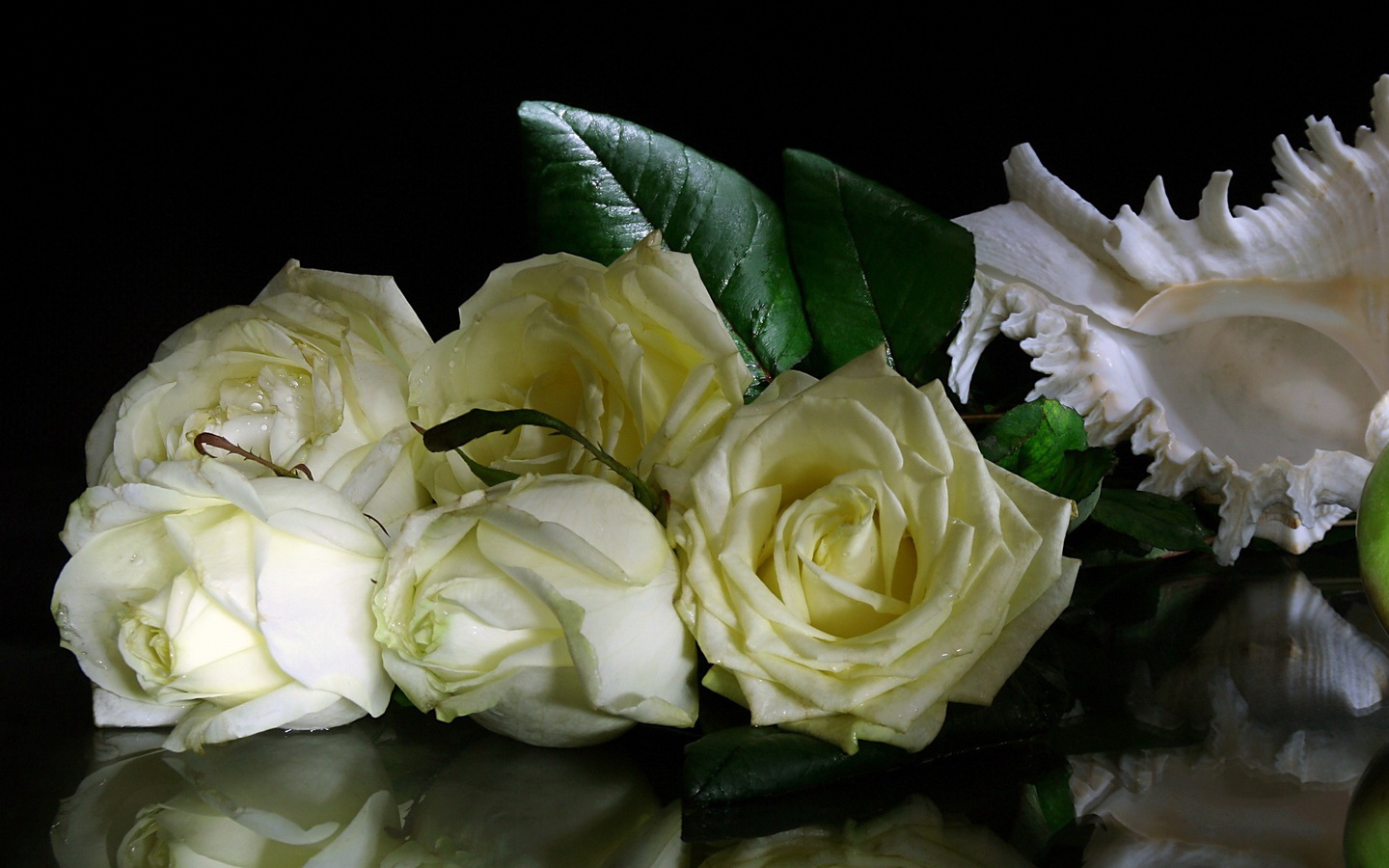 Букет белых роз на темном фоне