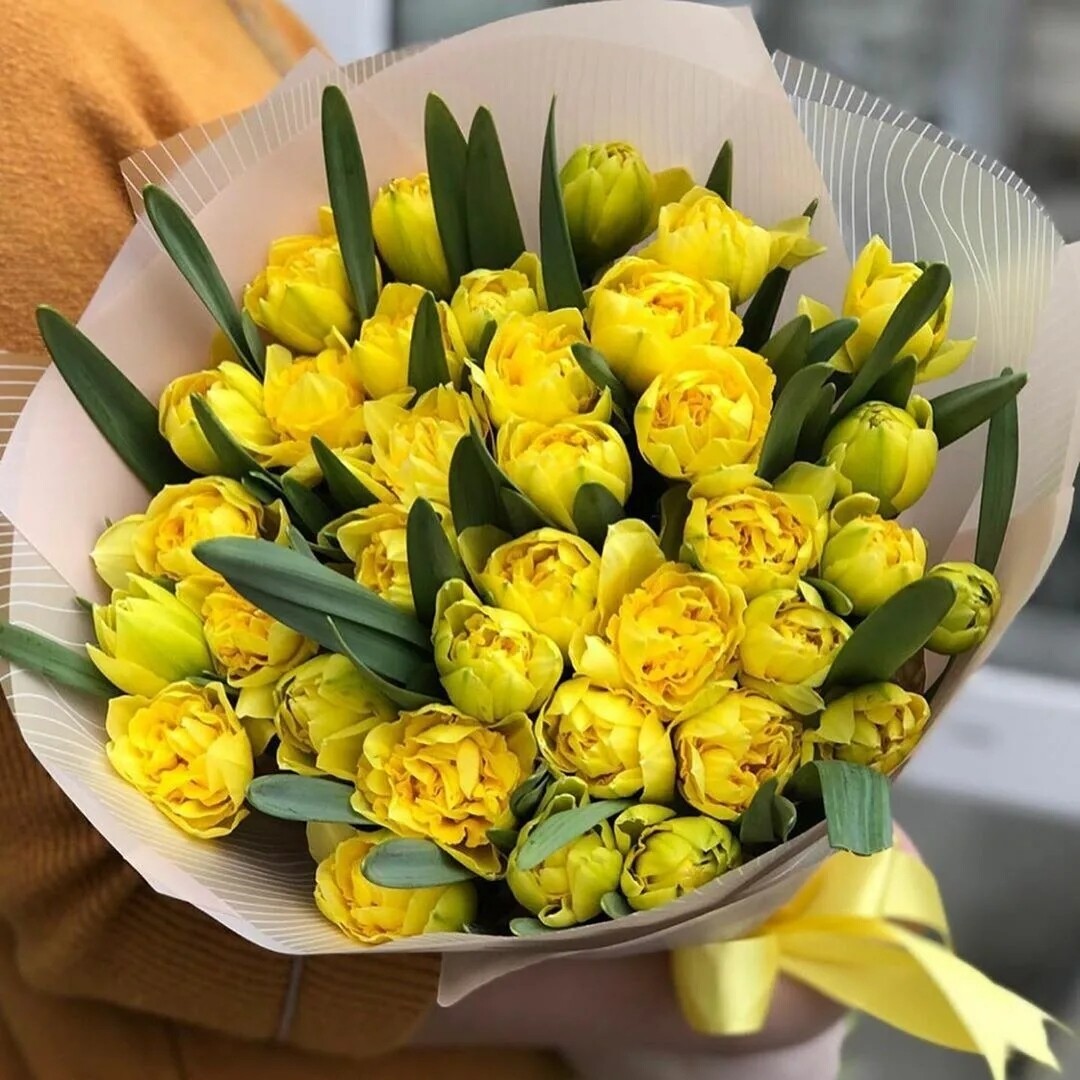 Пионовидные тюльпаны желтые