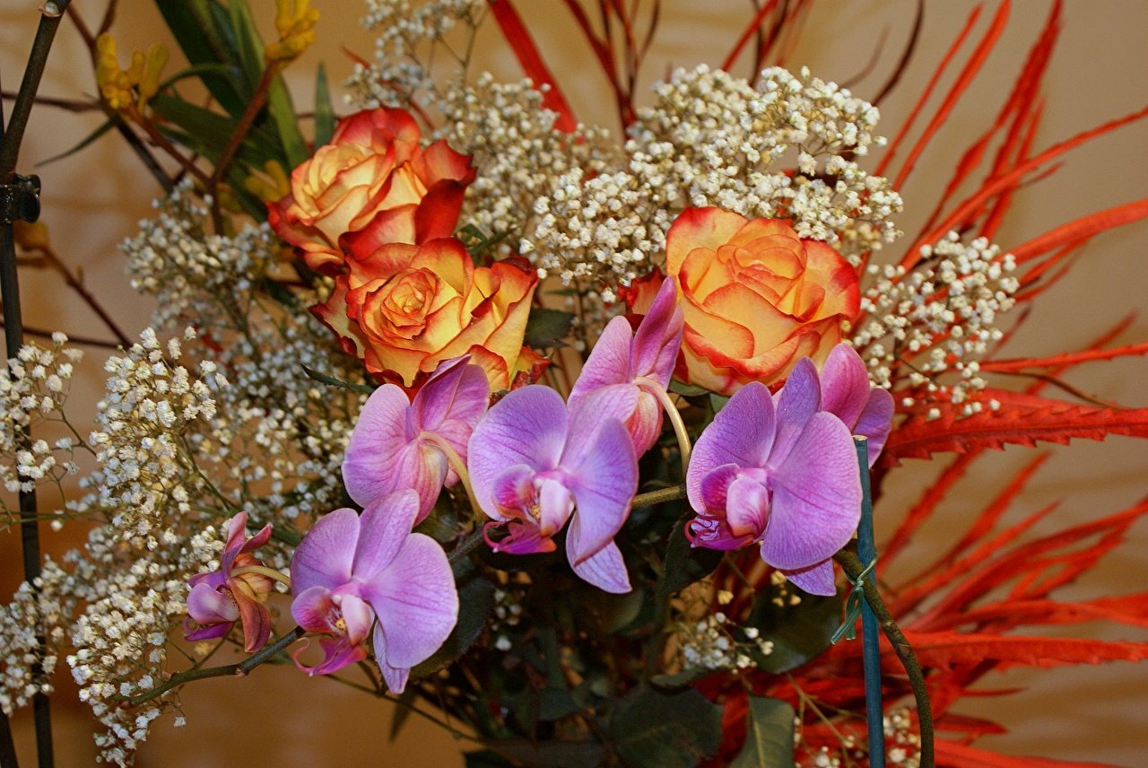Букет гипсофила и Орхидея