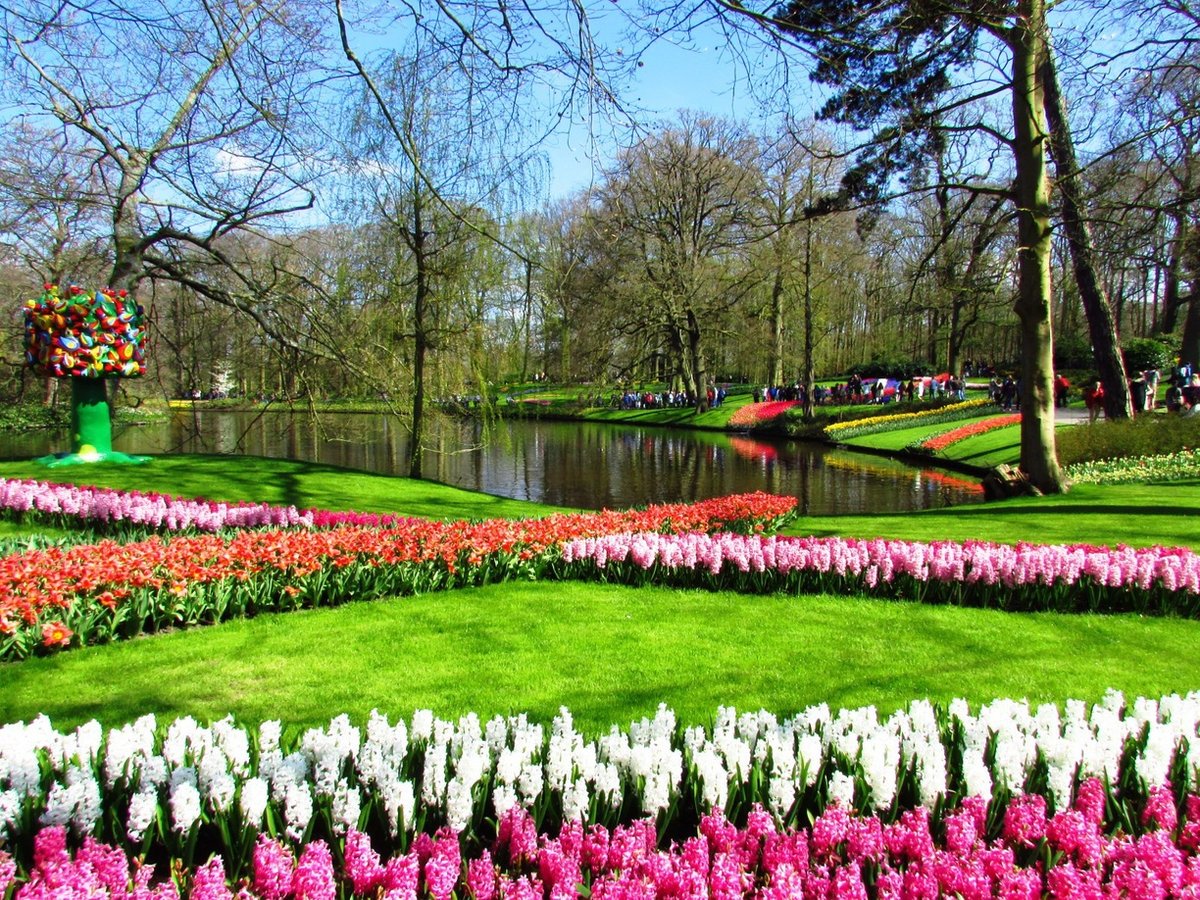 Королевский парк цветов кёкенхоф (Нидерланды)