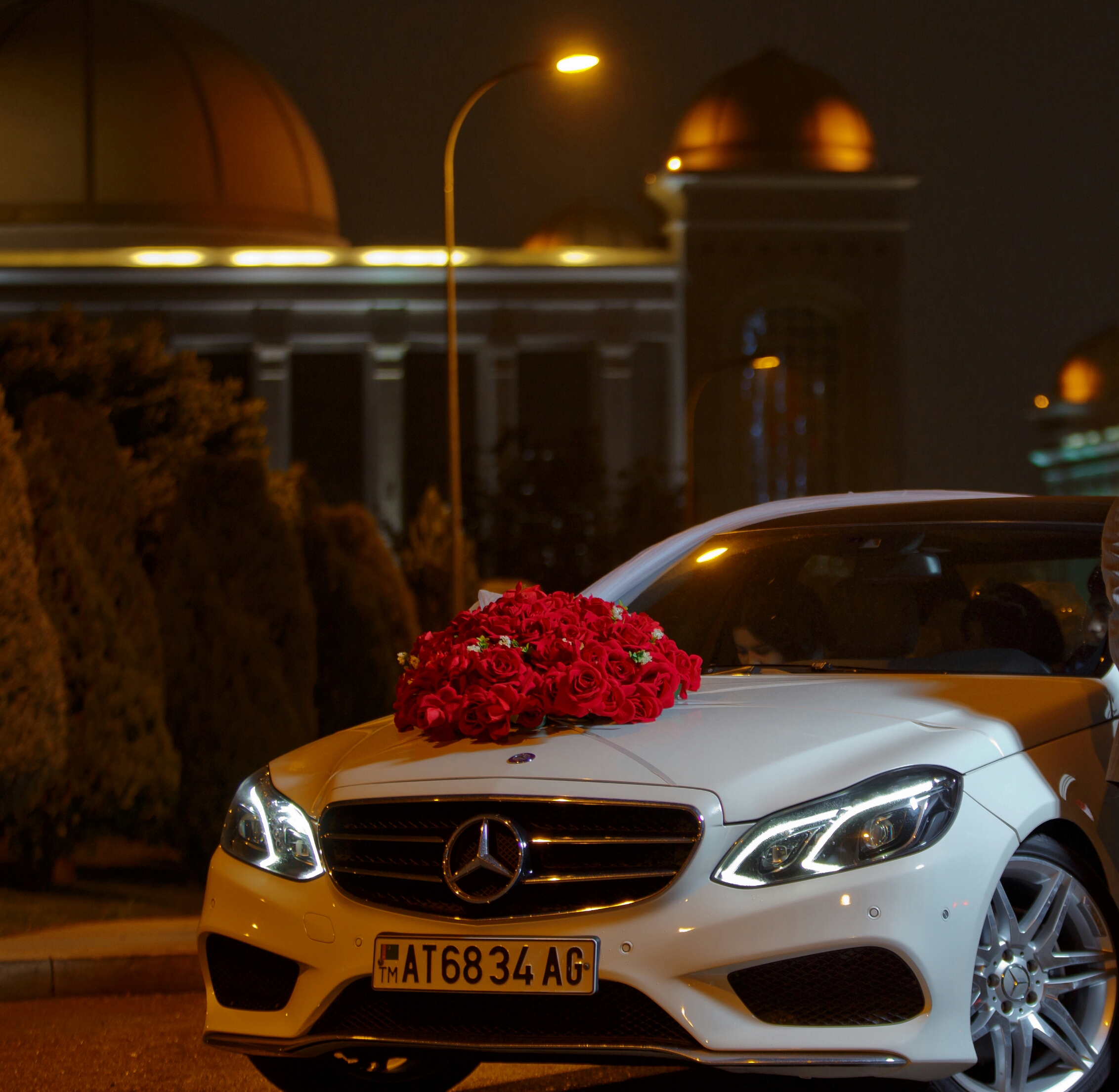 Mercedes rose