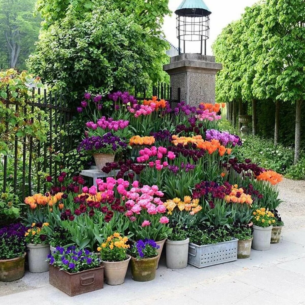 Как красиво посадить красиво цветы в огороде фото