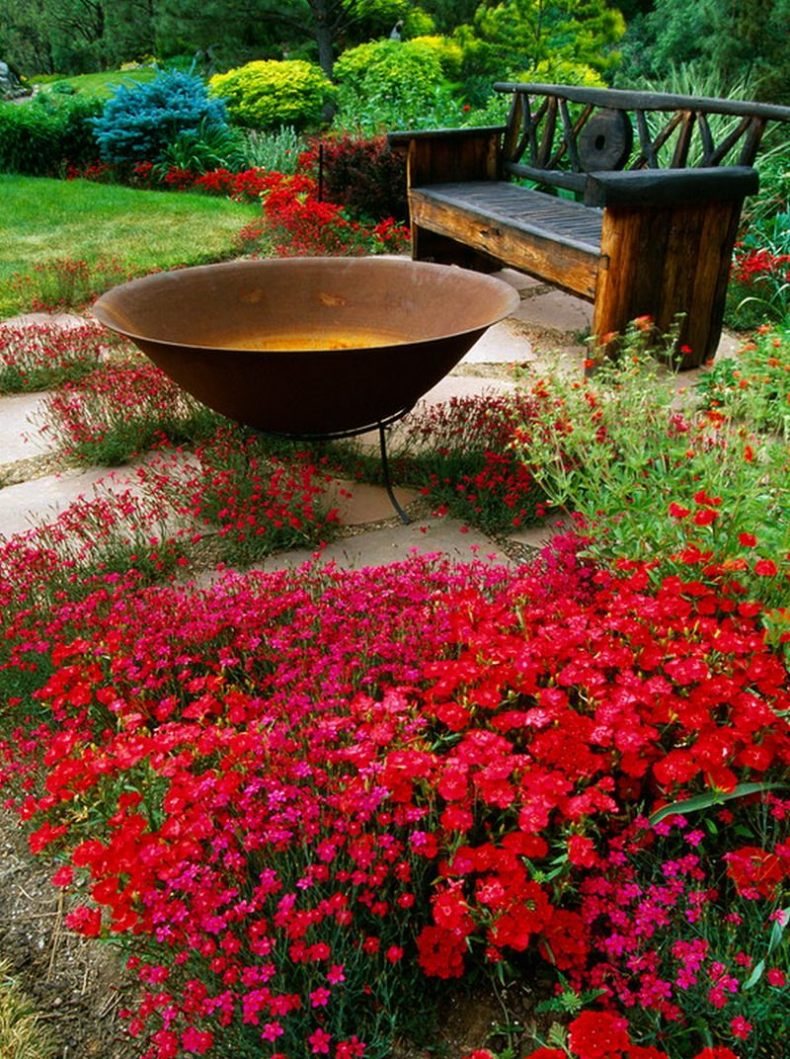 Цветы для сада и огорода фото