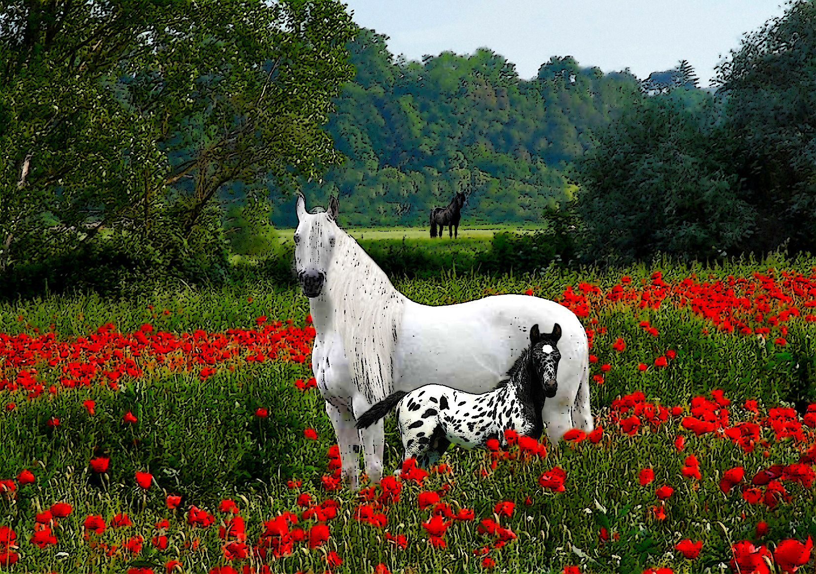 Красивые лошади с цветами