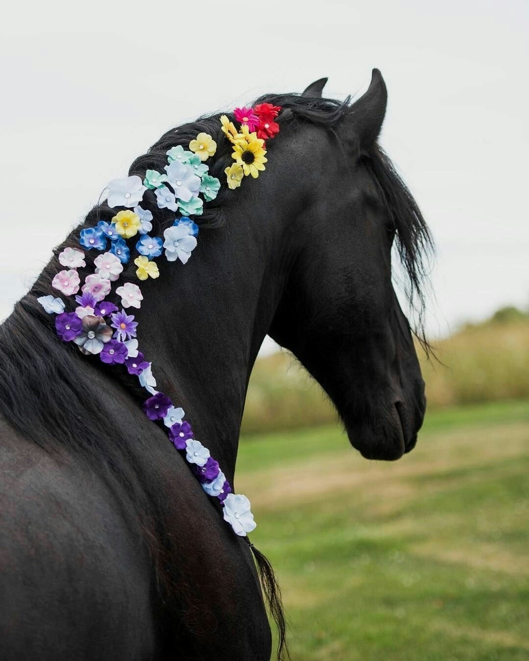 Лошадь в цветах
