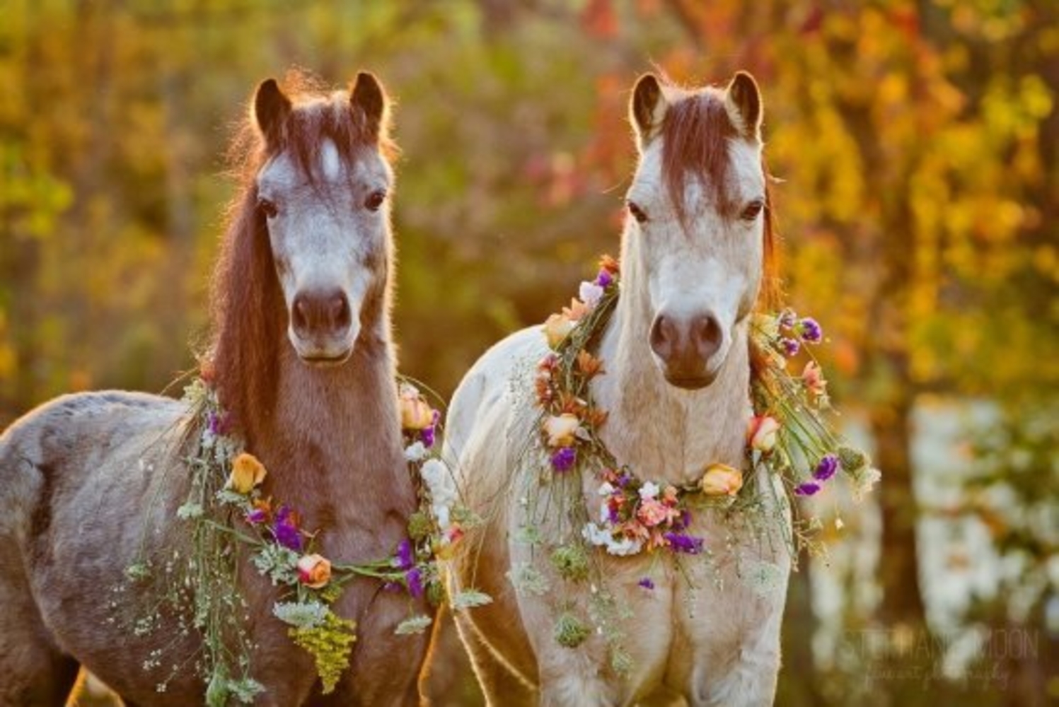 Лошадь в цветах