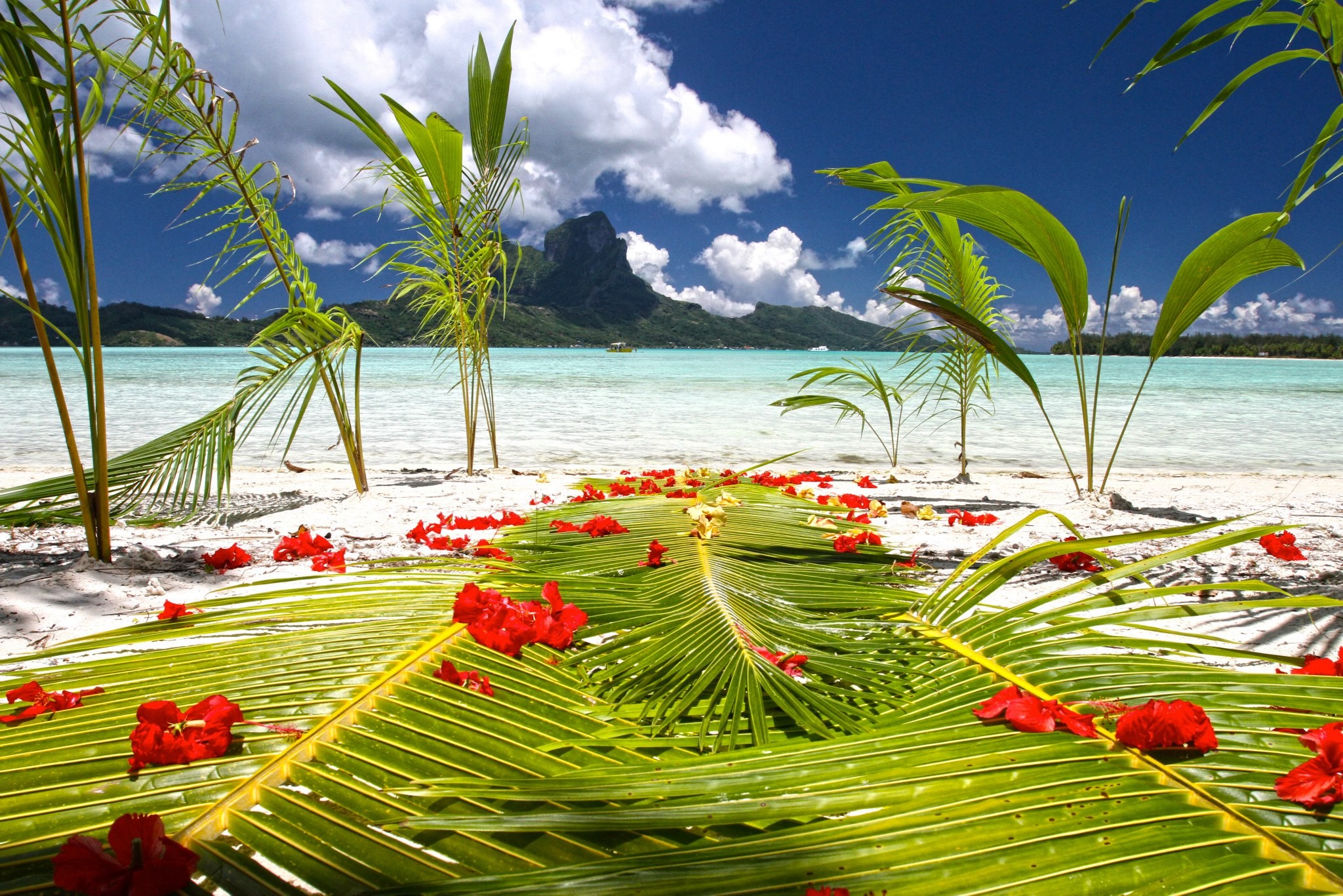 Пляж Таити