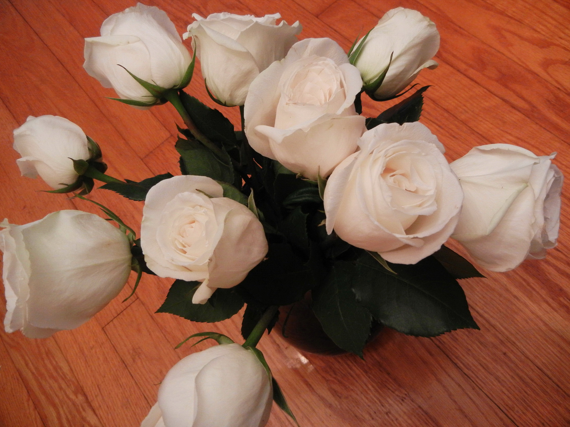 Фото розы букет дома на полу
