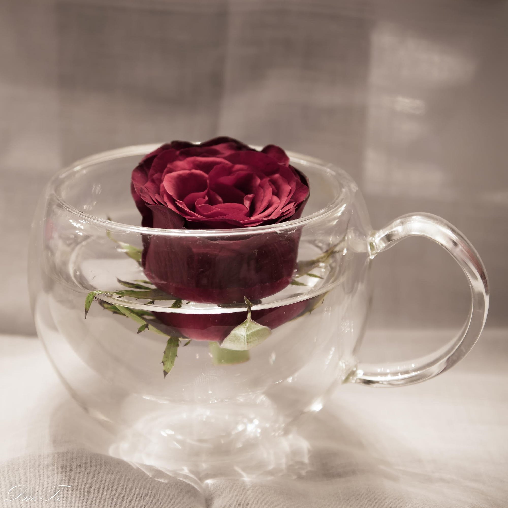 Розы в горячую воду. Красивые цветы в чашке. Розочки в чашечке.