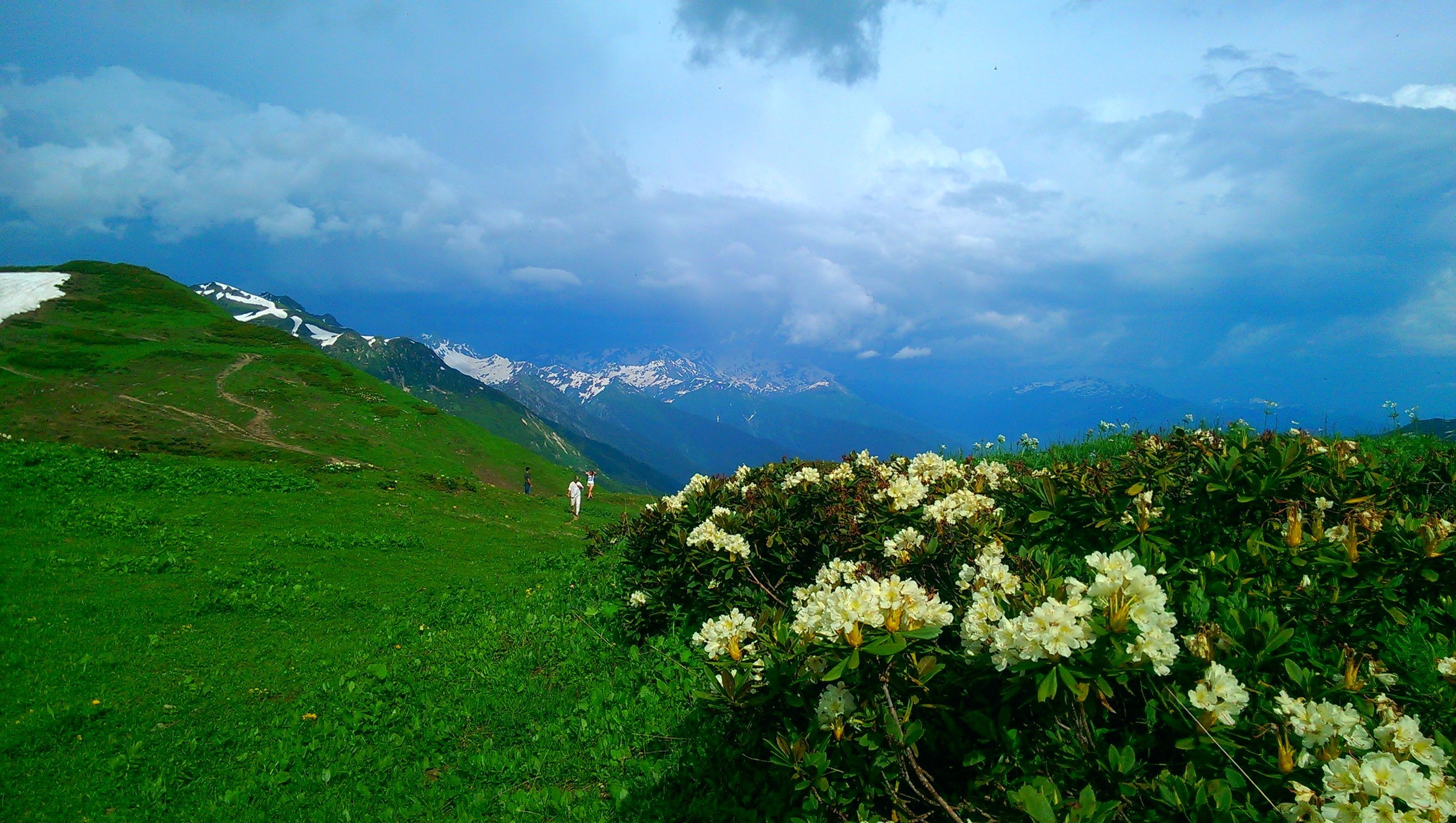 Ауадхара Абхазия Альпийские Луга