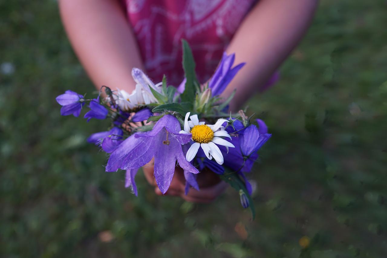 Букет полевых цветов в руках ребенка