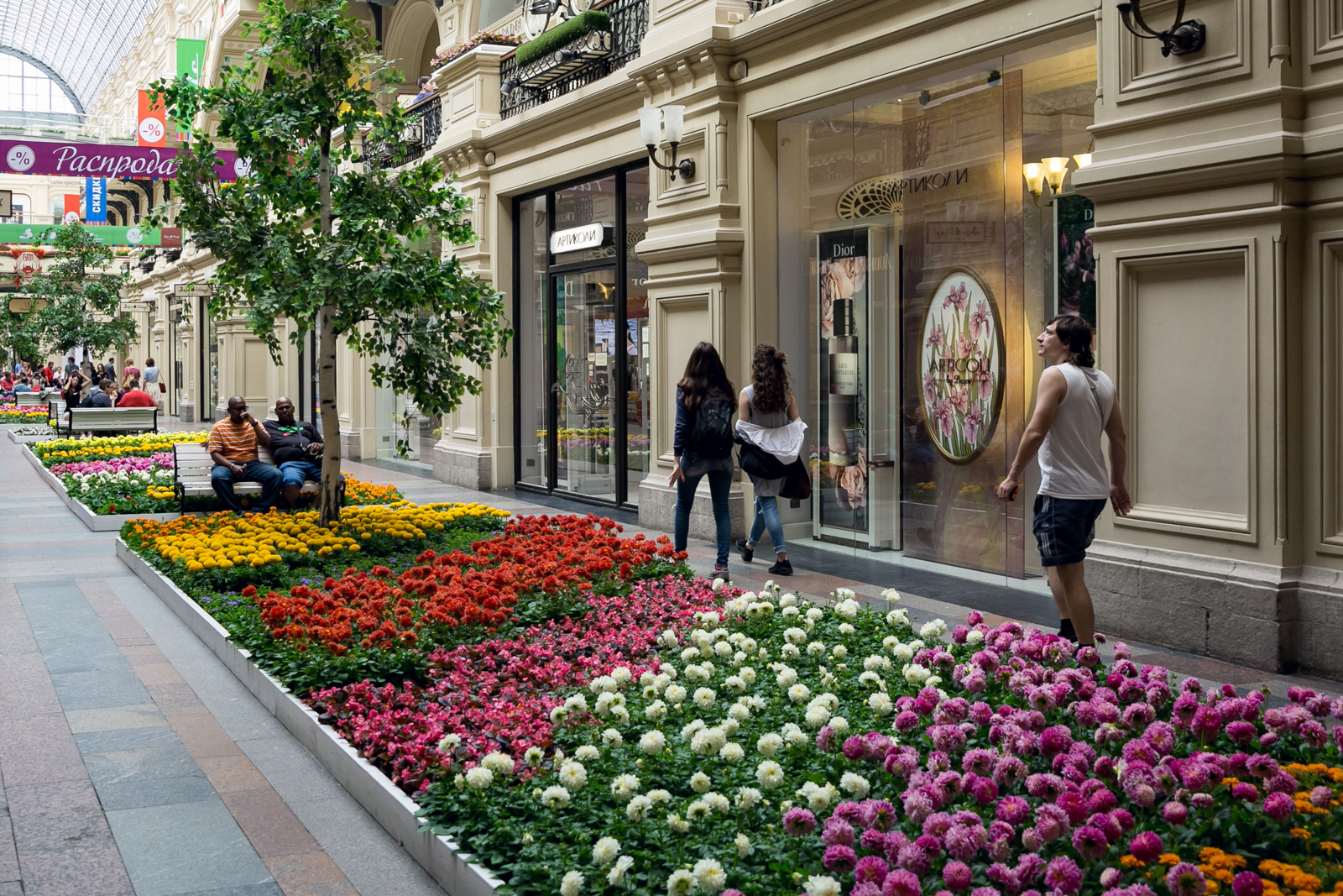 Street of flowers. Москва ГУМ цветы. Цветы на улице. Цветы на улицах города. Украшение улицы цветами.