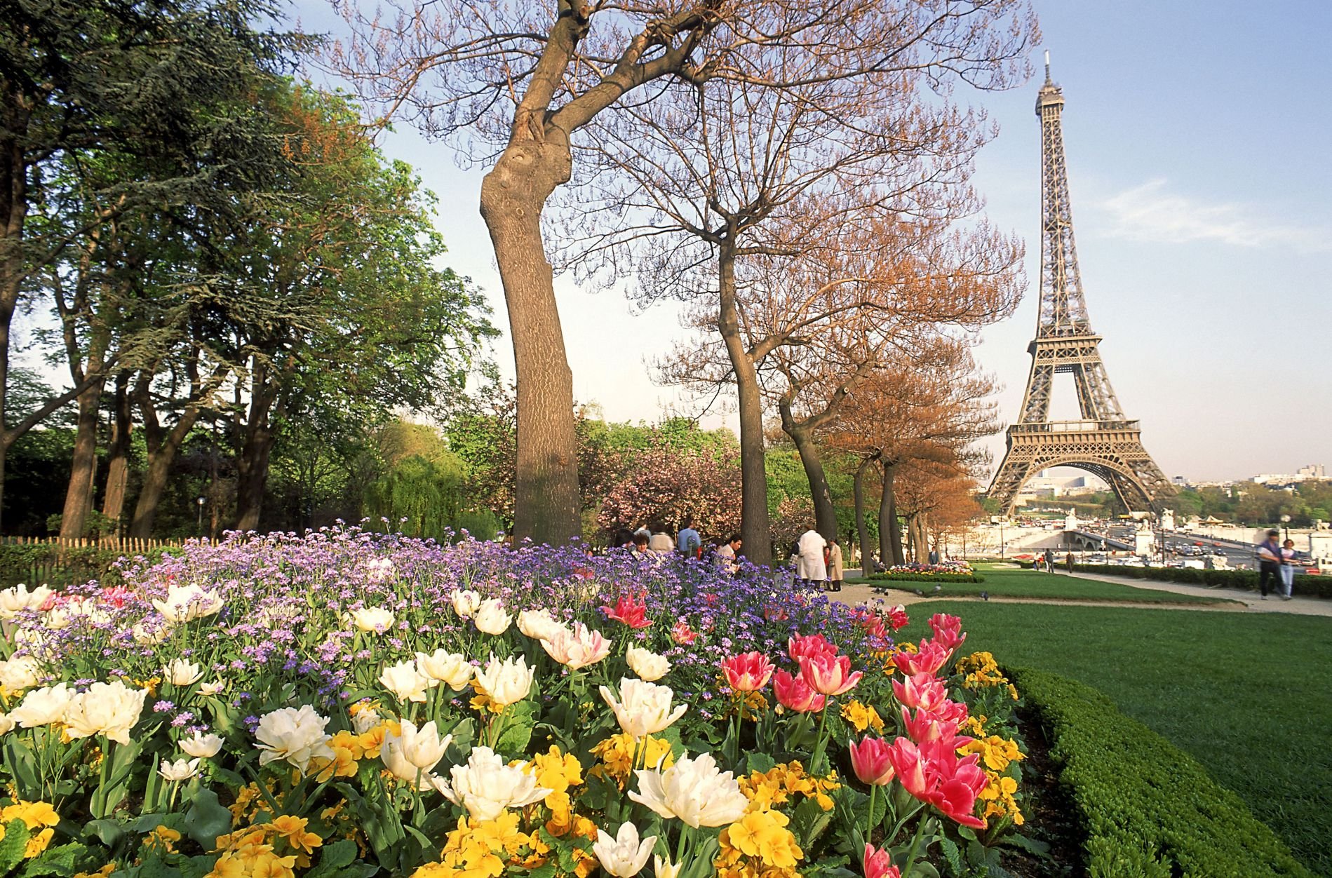 Эйфелева башня Весна и цветы