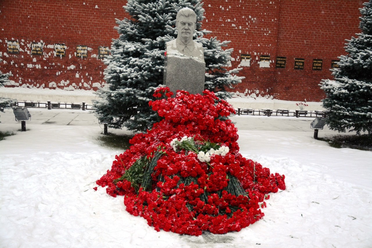 Гвоздики для сталина. Цветок Сталина. Могила Сталина в цветах. Любимые цветы Сталина.