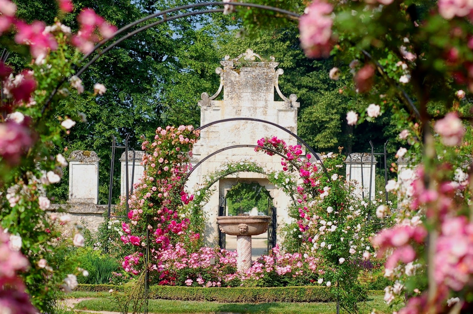 Парк Багатель в Париже розы