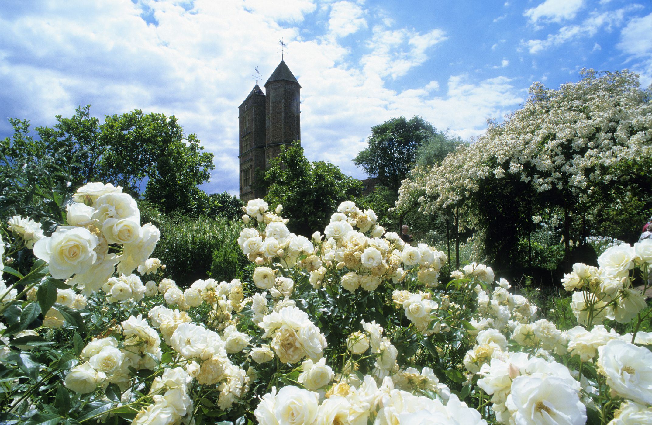 Sissinghurst Castle Garden цветы