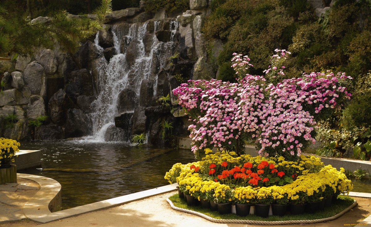 Водопад цветы (72 фото) .