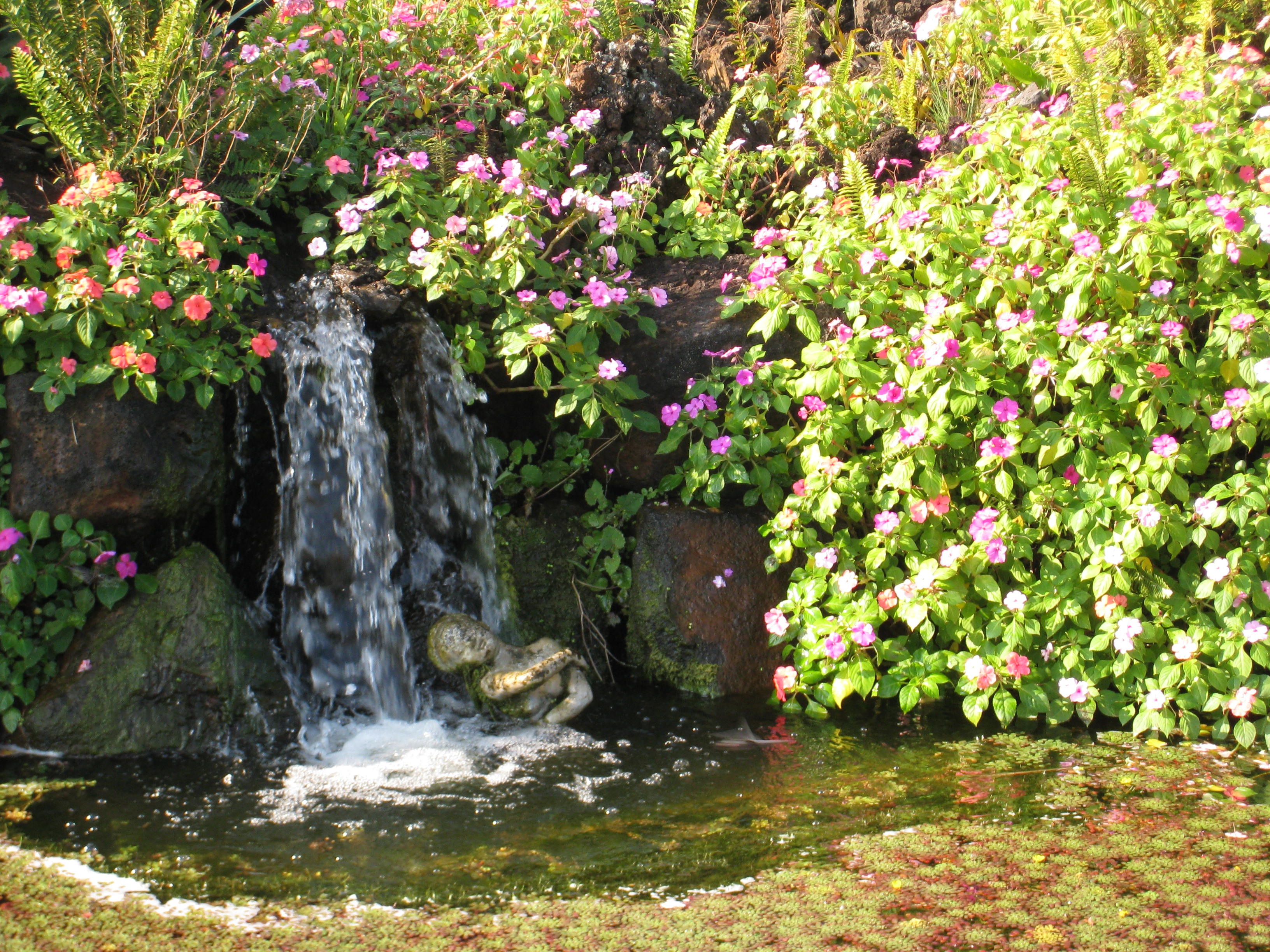 Природа водопад цветы.