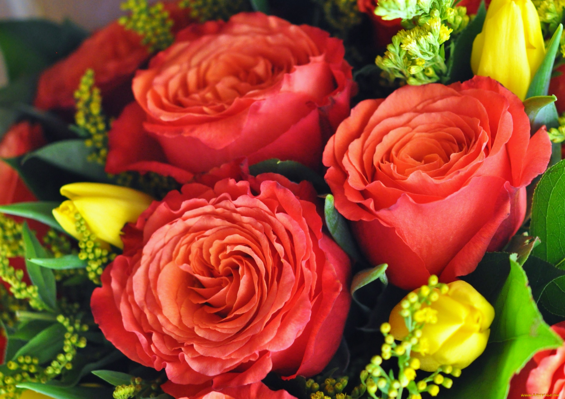 Купить розы и тюльпаны. Букет розы и тюльпаны вместе фото. Flower XL.