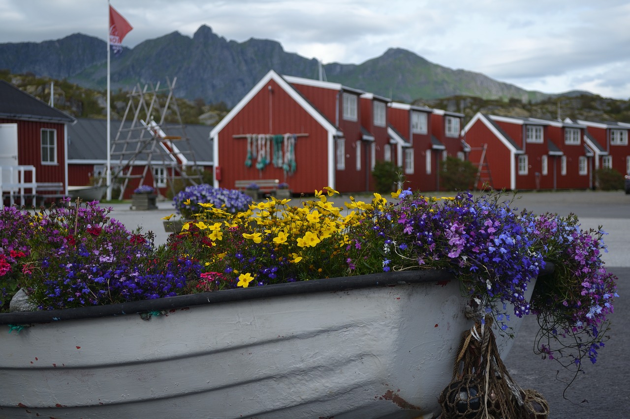 Норвежские цветы