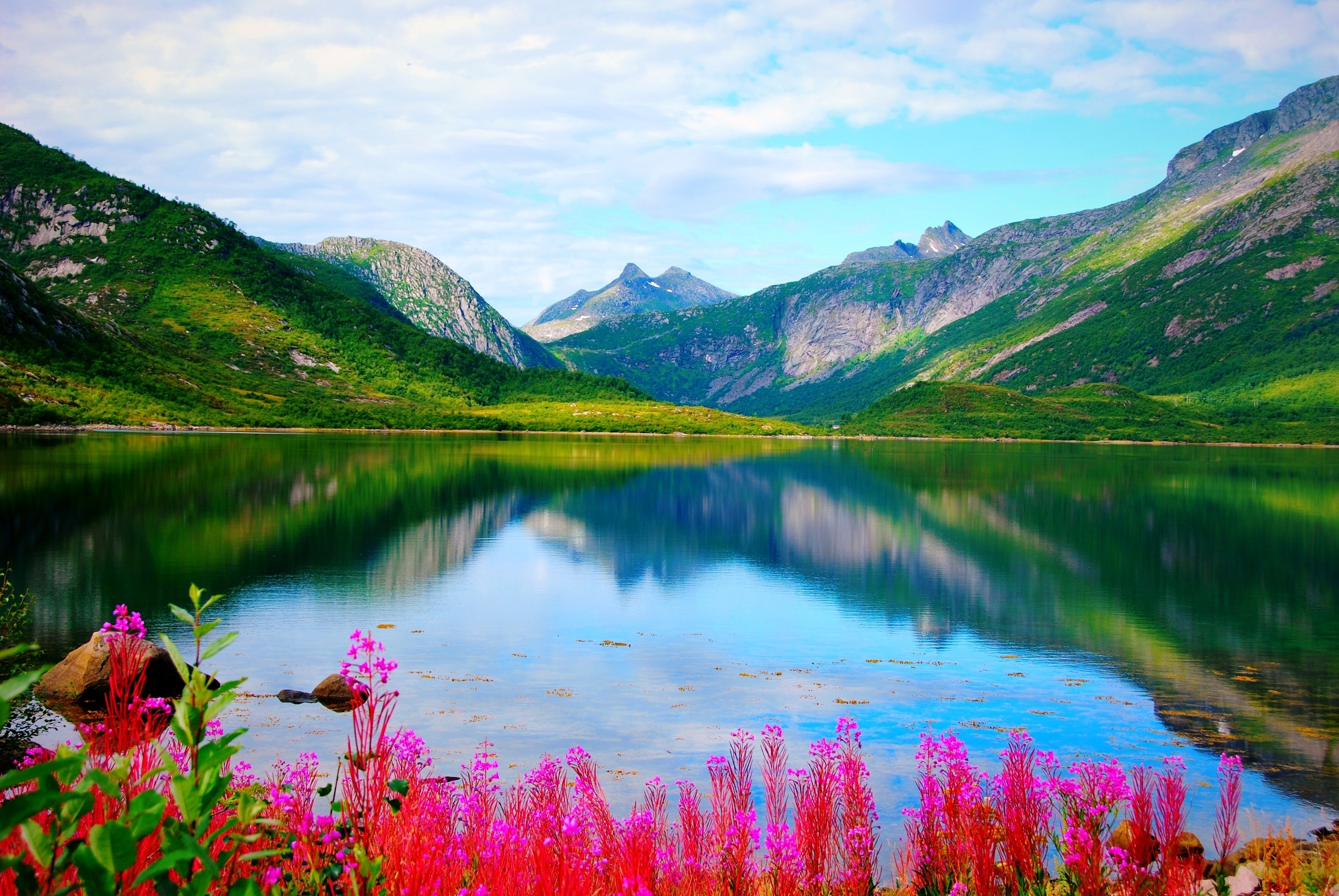 Цветники Норвегии