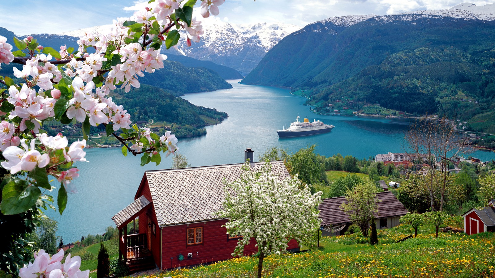 Цветы норвегии