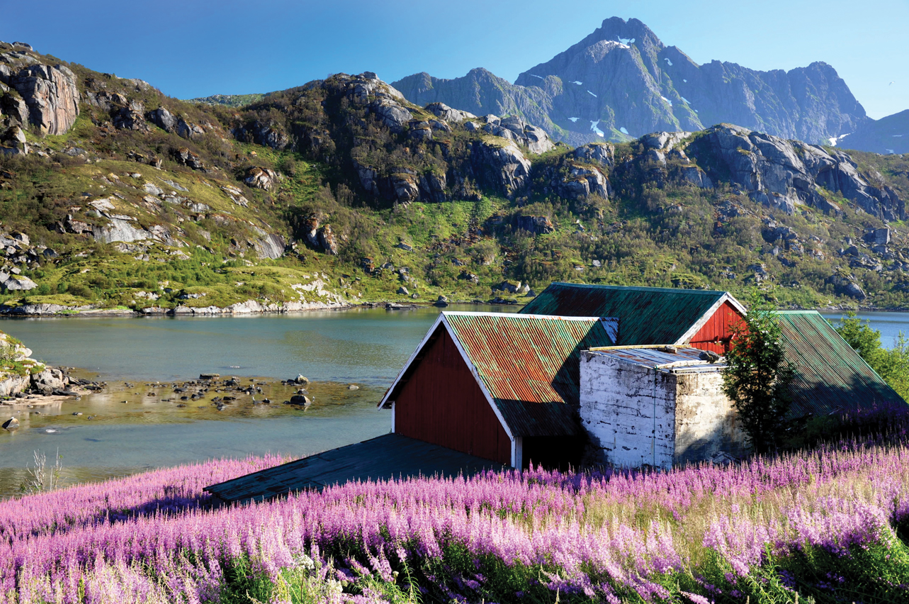 Цветущая Норвегия