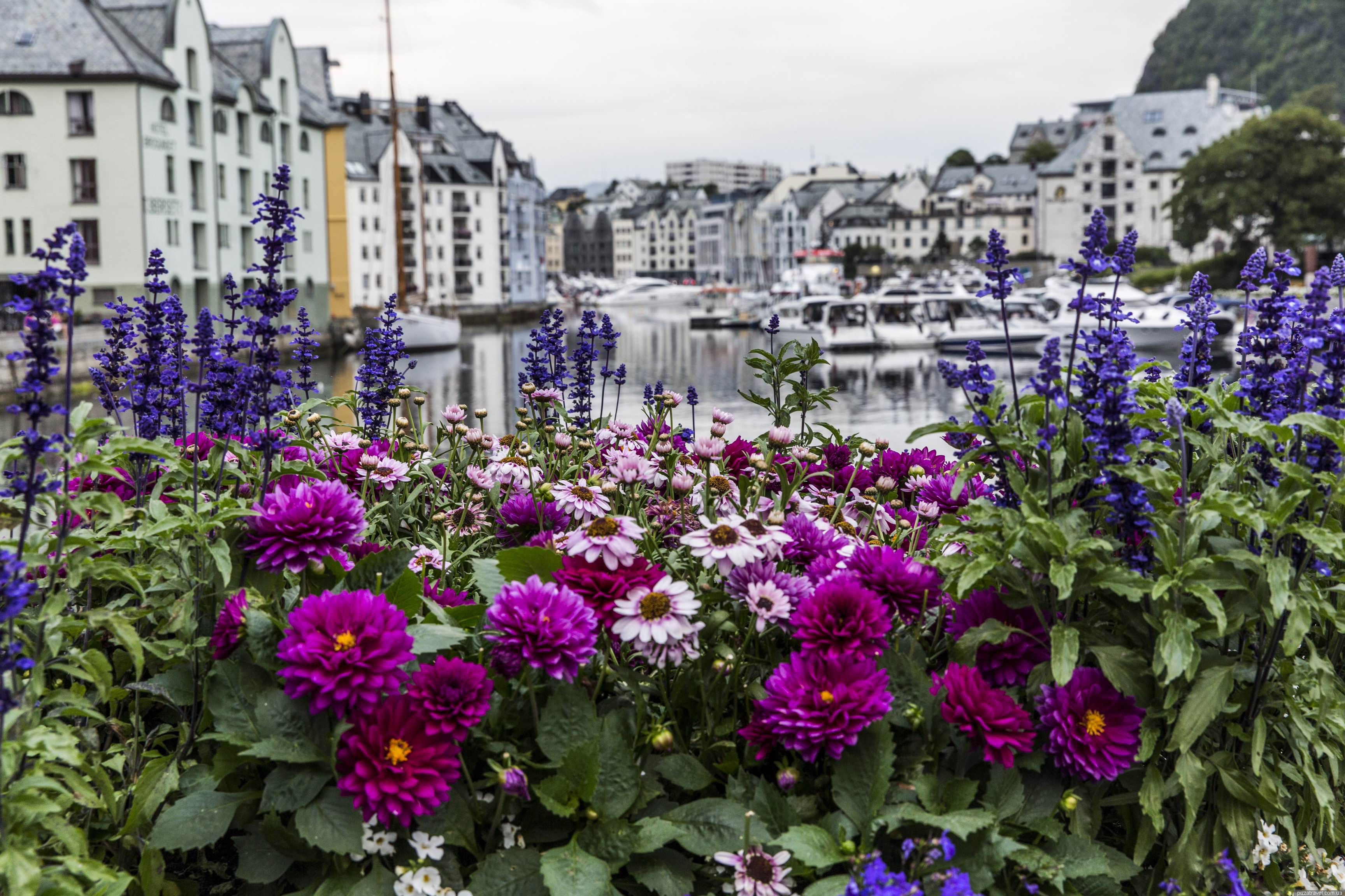 Цветники Норвегии