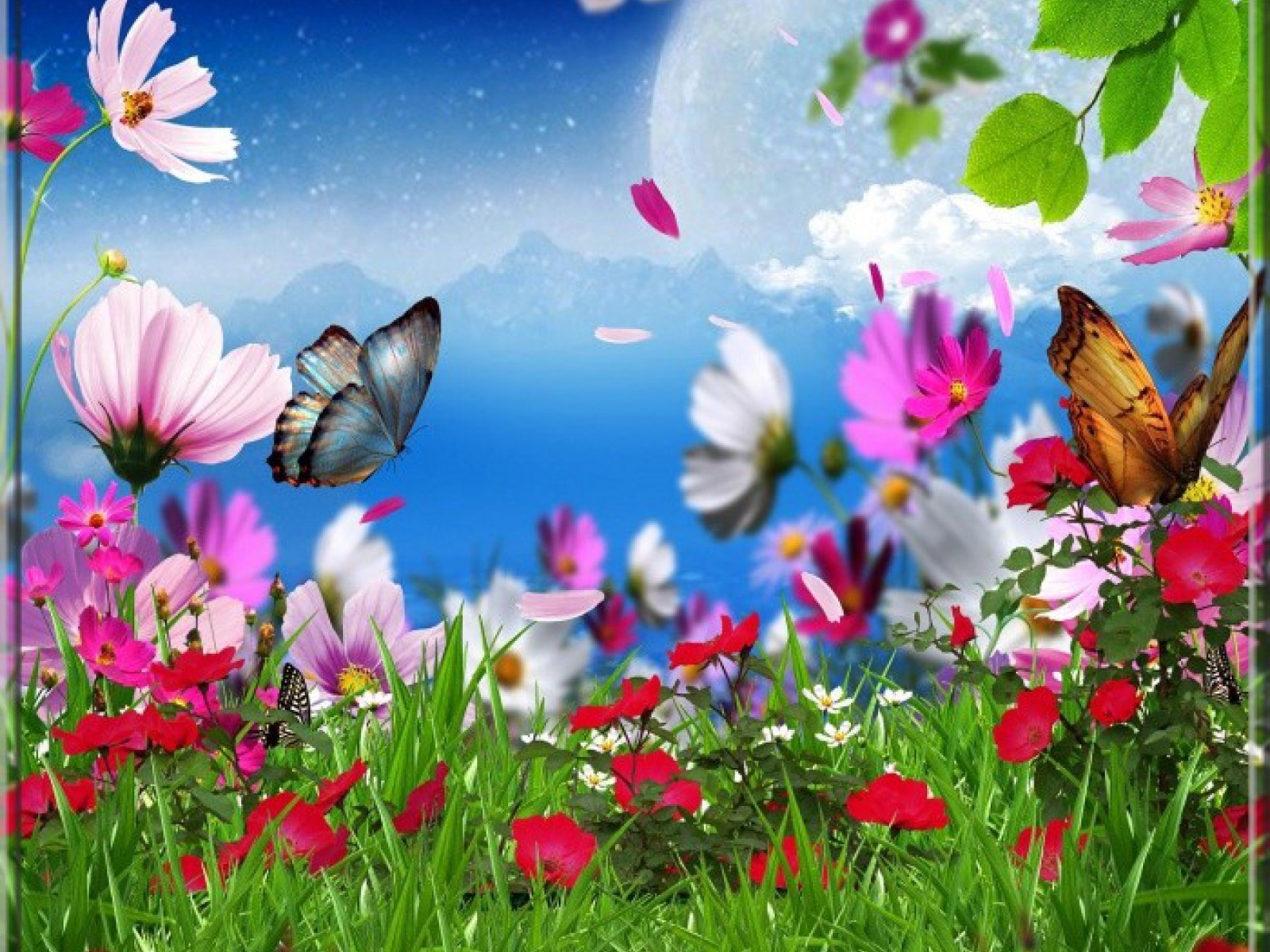 Фото поля с цветами и бабочками