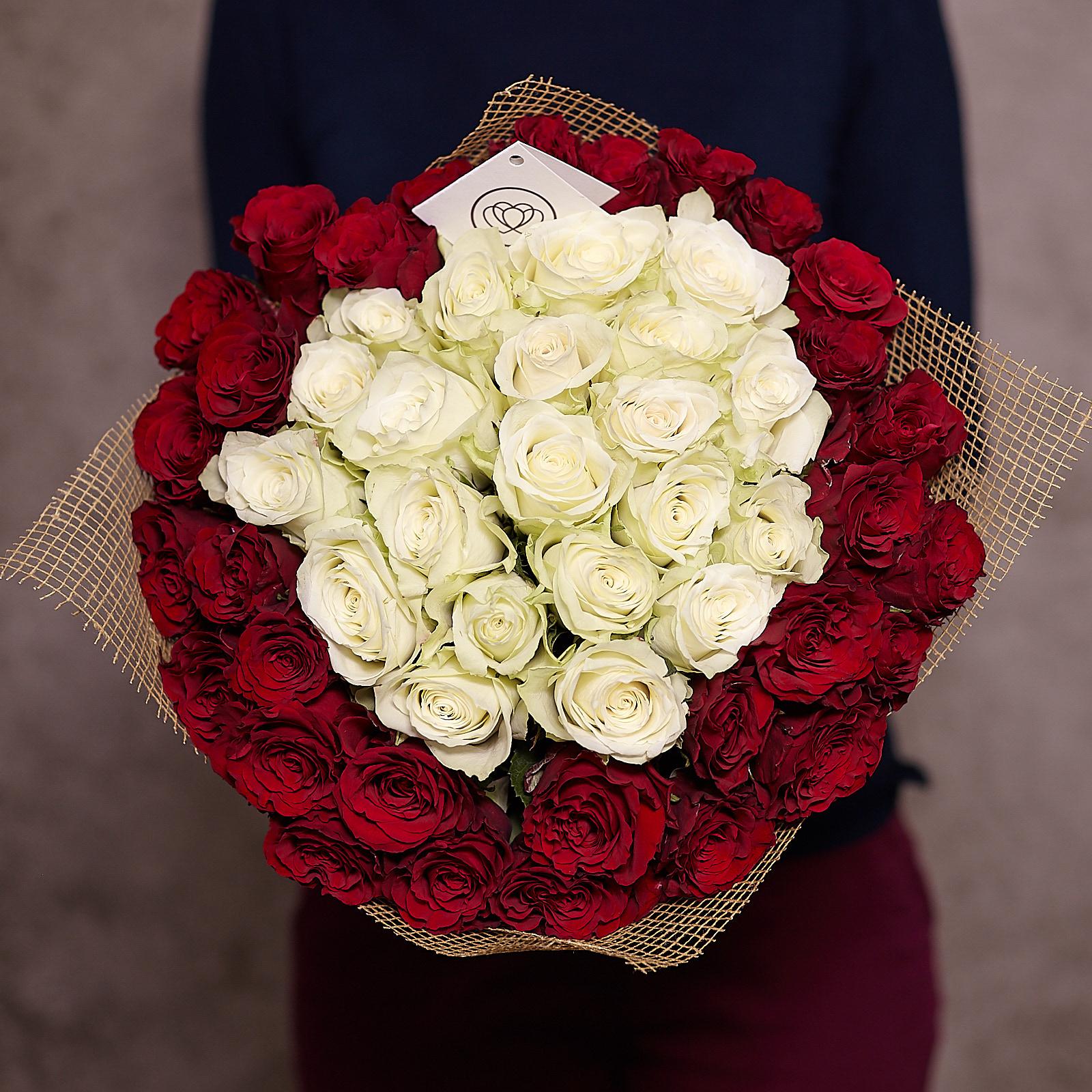 Красные и белые розы фото