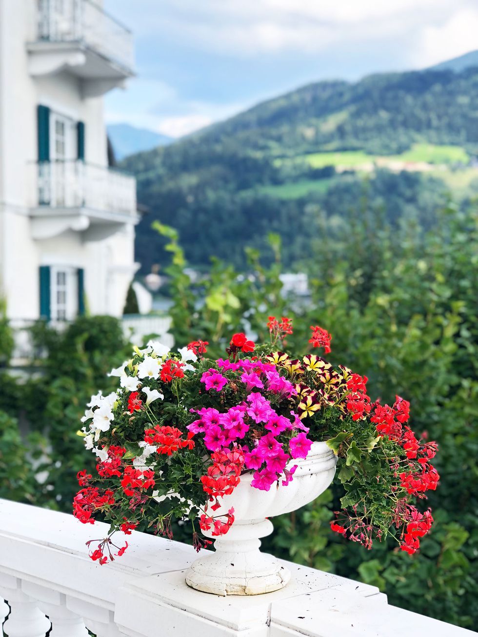 Австрия город цветов