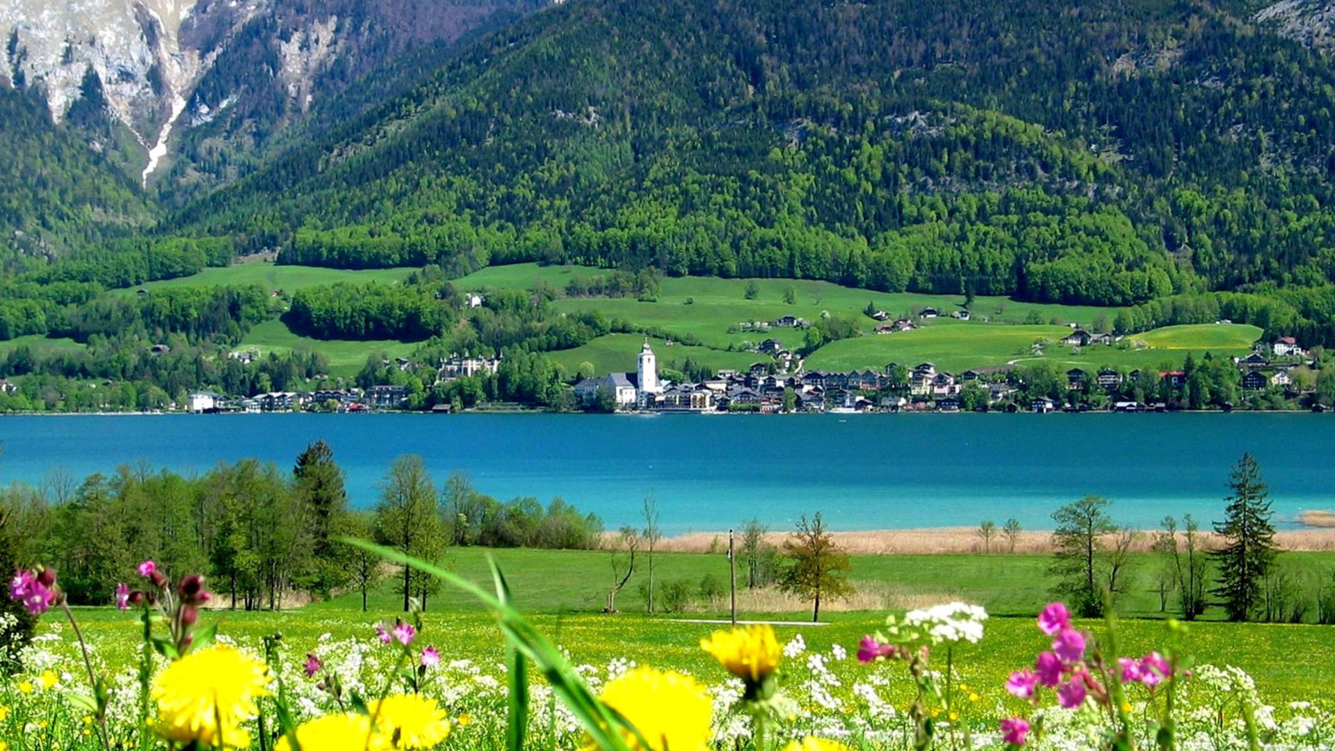 Отель Австрия цветы горы озеро