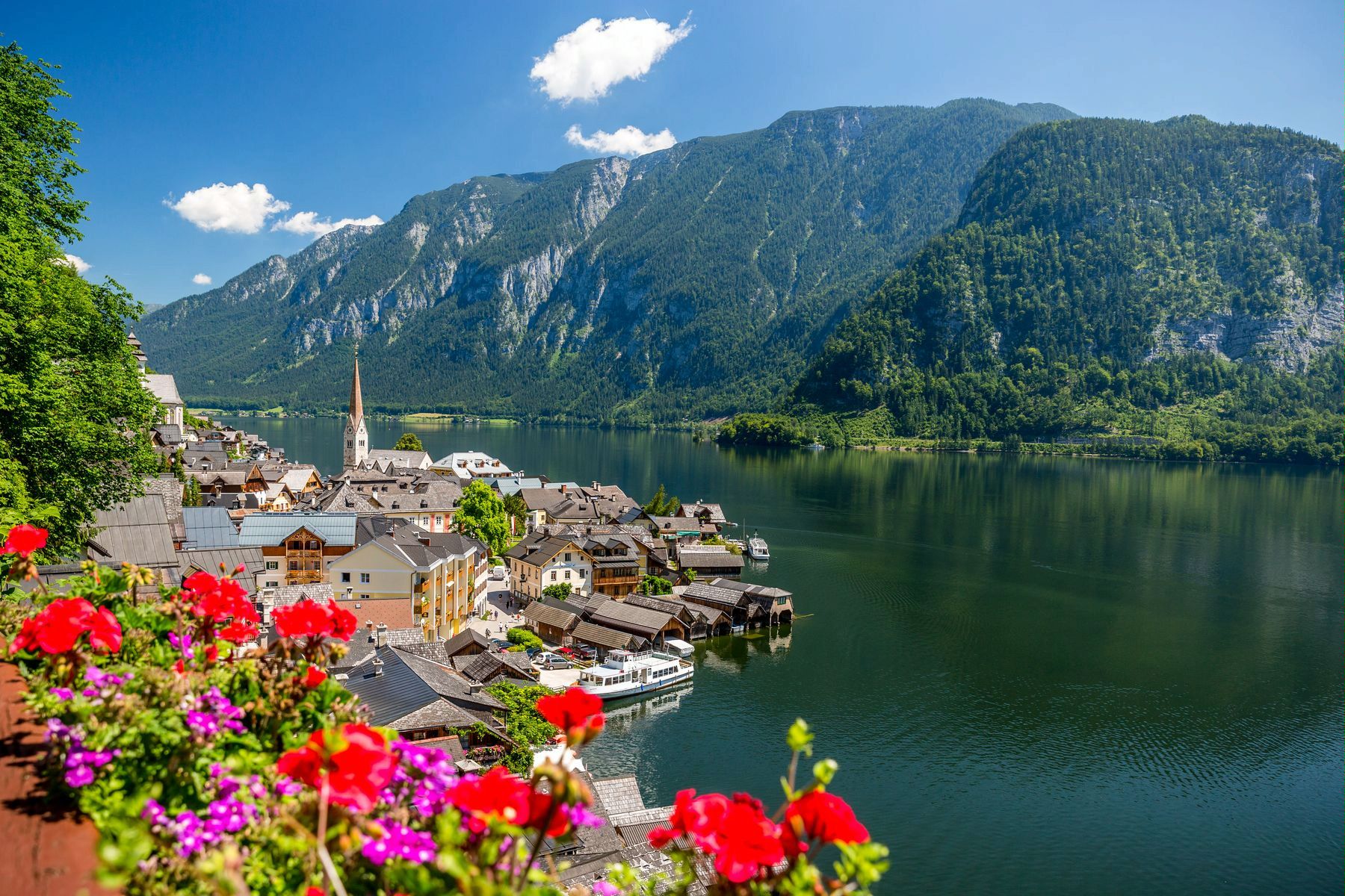 Озера Австрия цветы