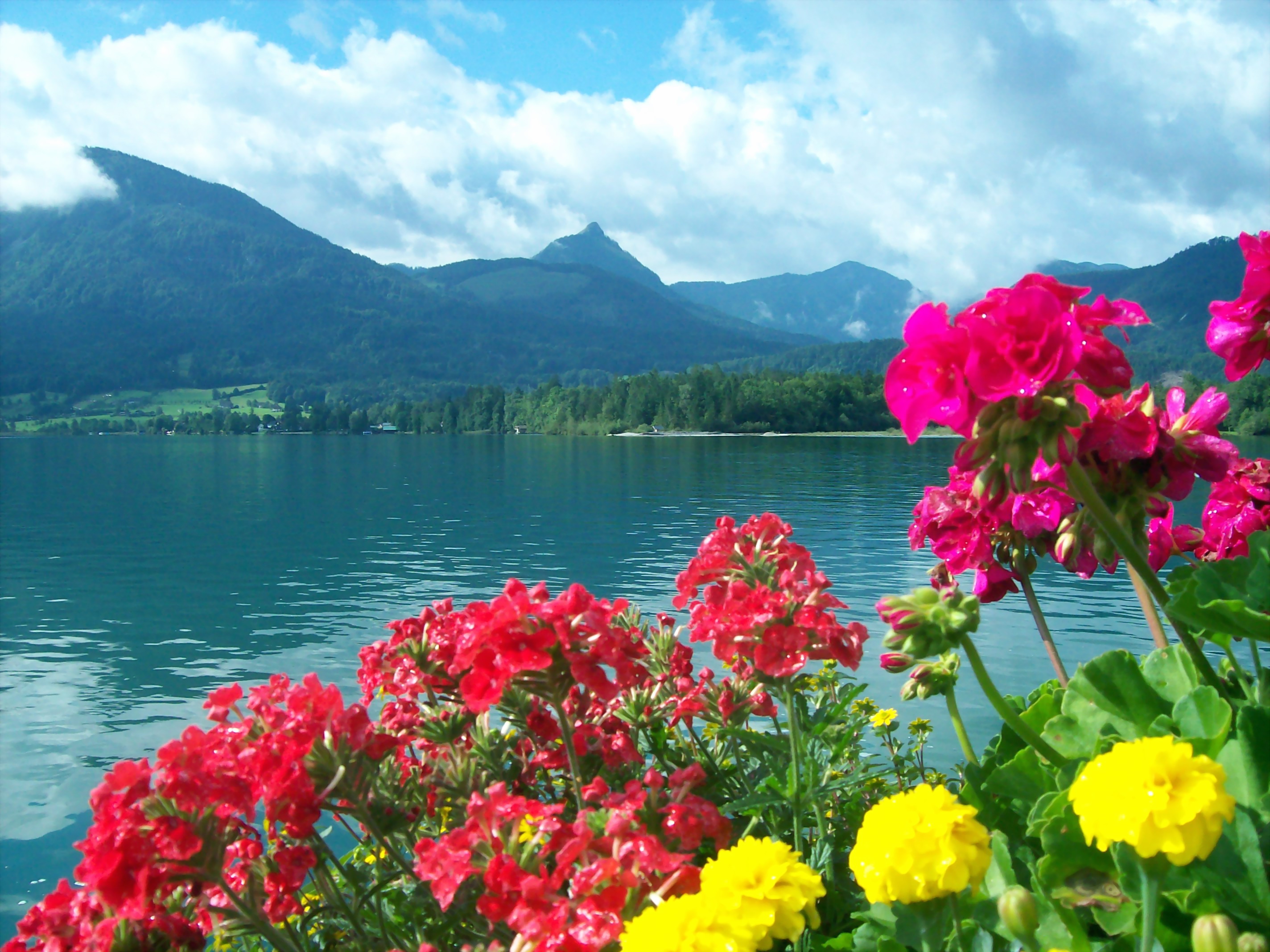Цветущая Австрия