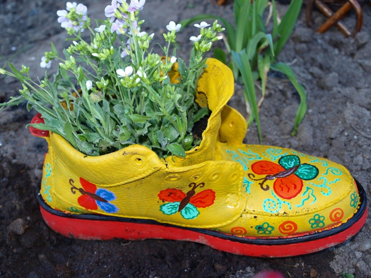 Цветок в ботинке
